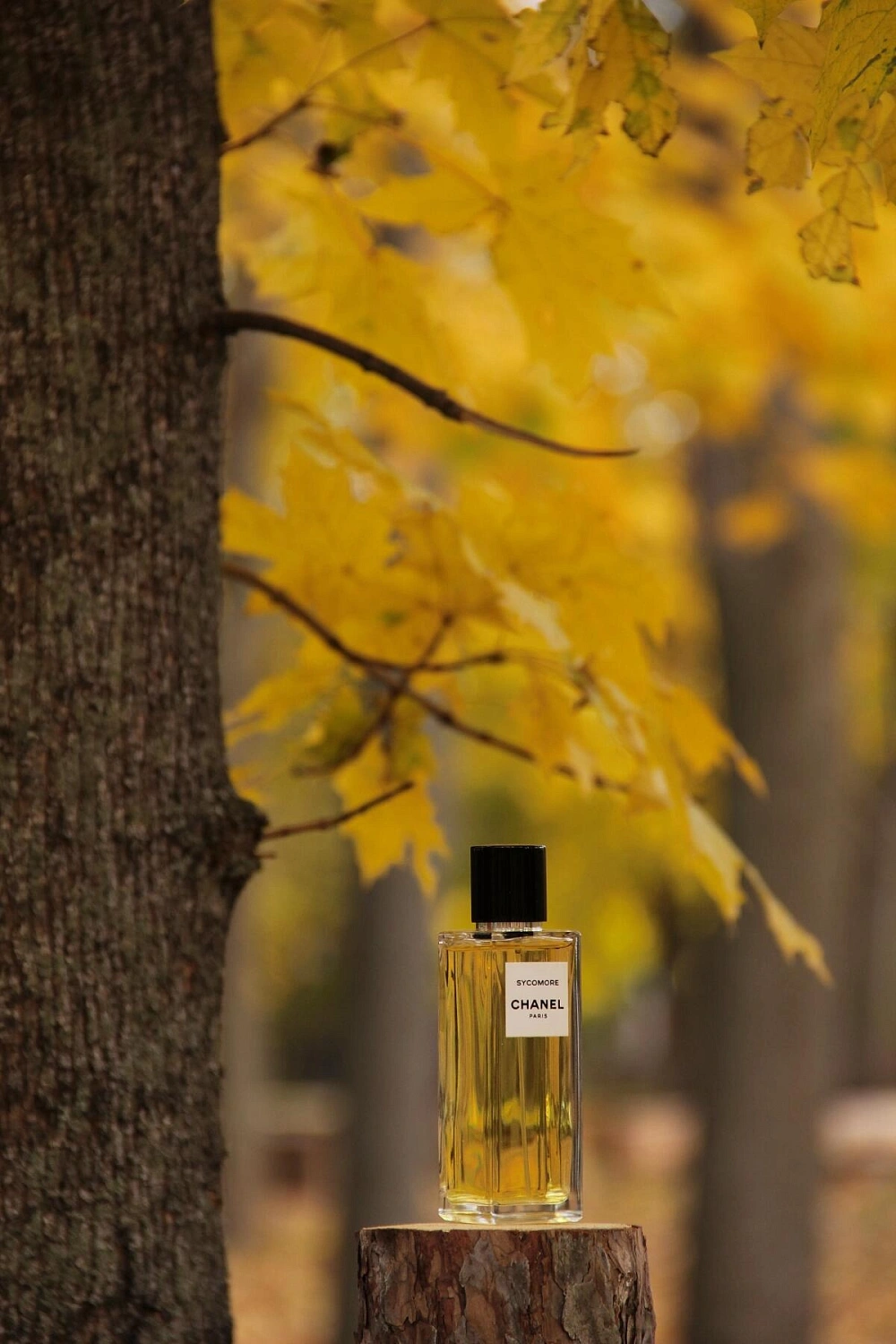 Chanel Sycomore Eau de Parfum 2016