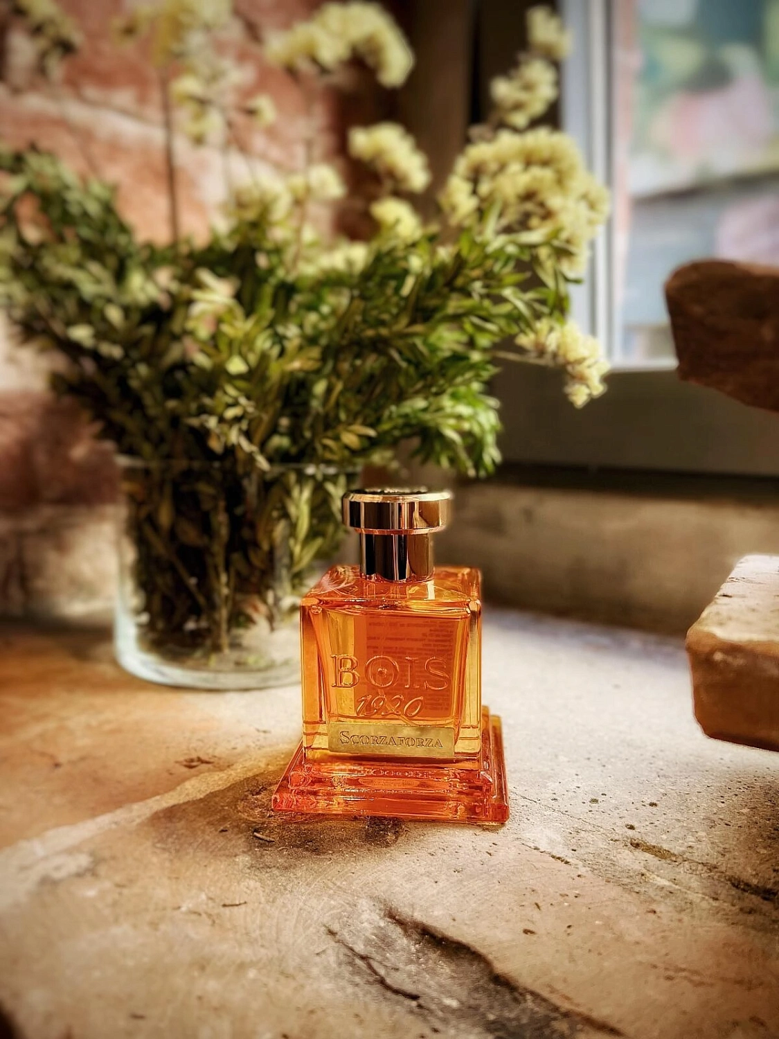 Bois 1920 Scorzaforza