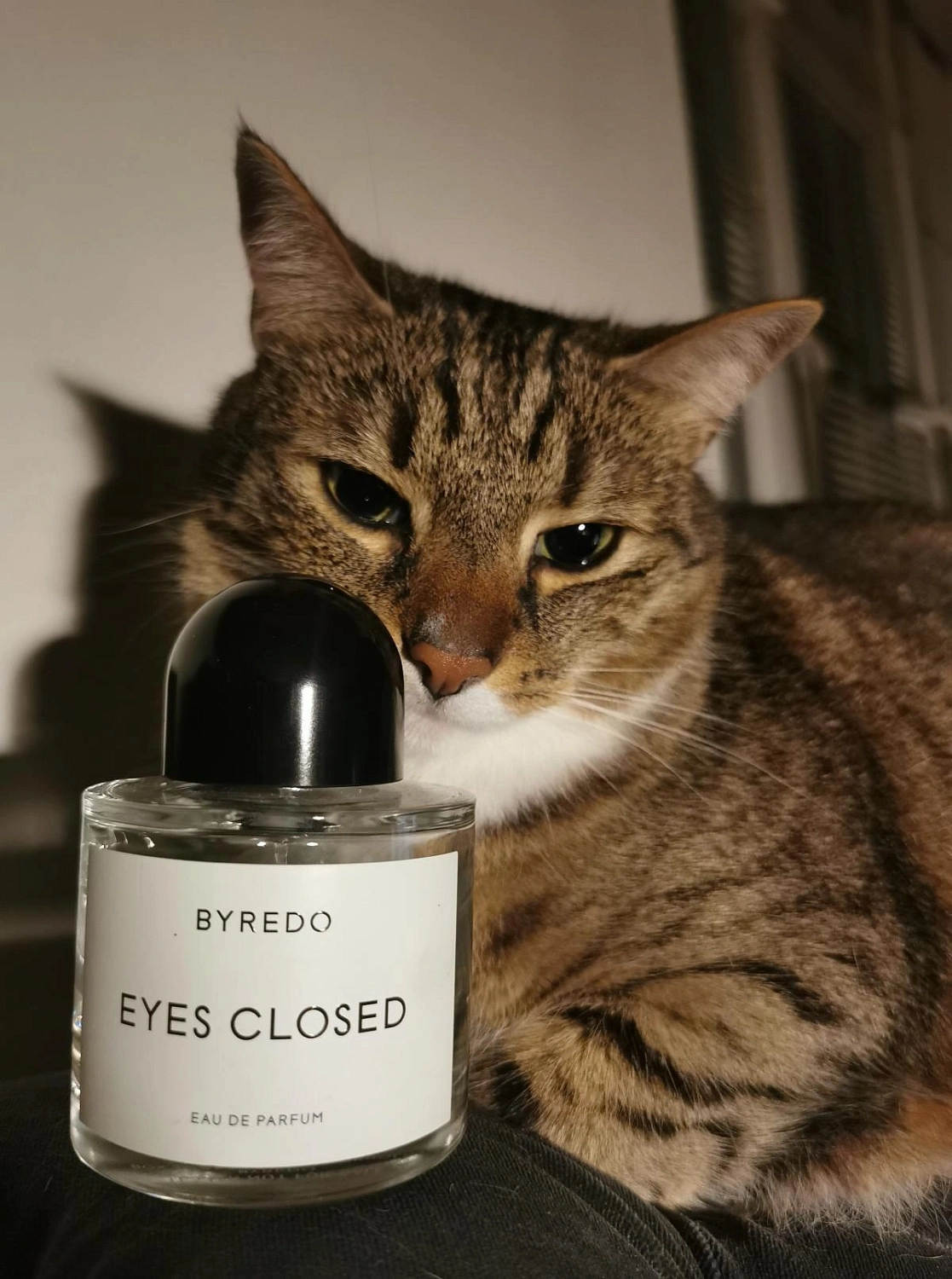 BYREDO Eyes Closed
