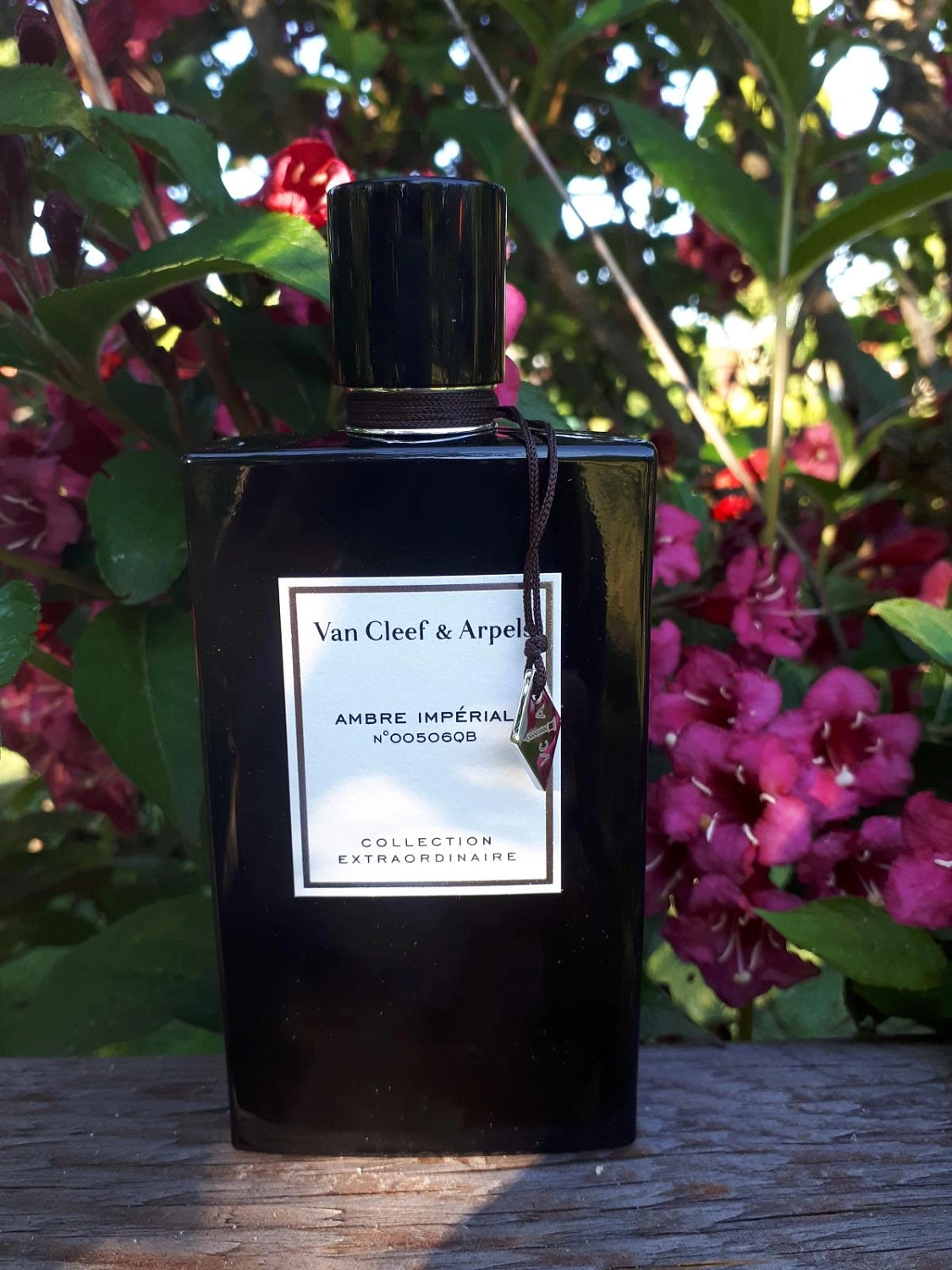 Van Cleef & Arpels Collection Extraordinaire Ambre Imperial
