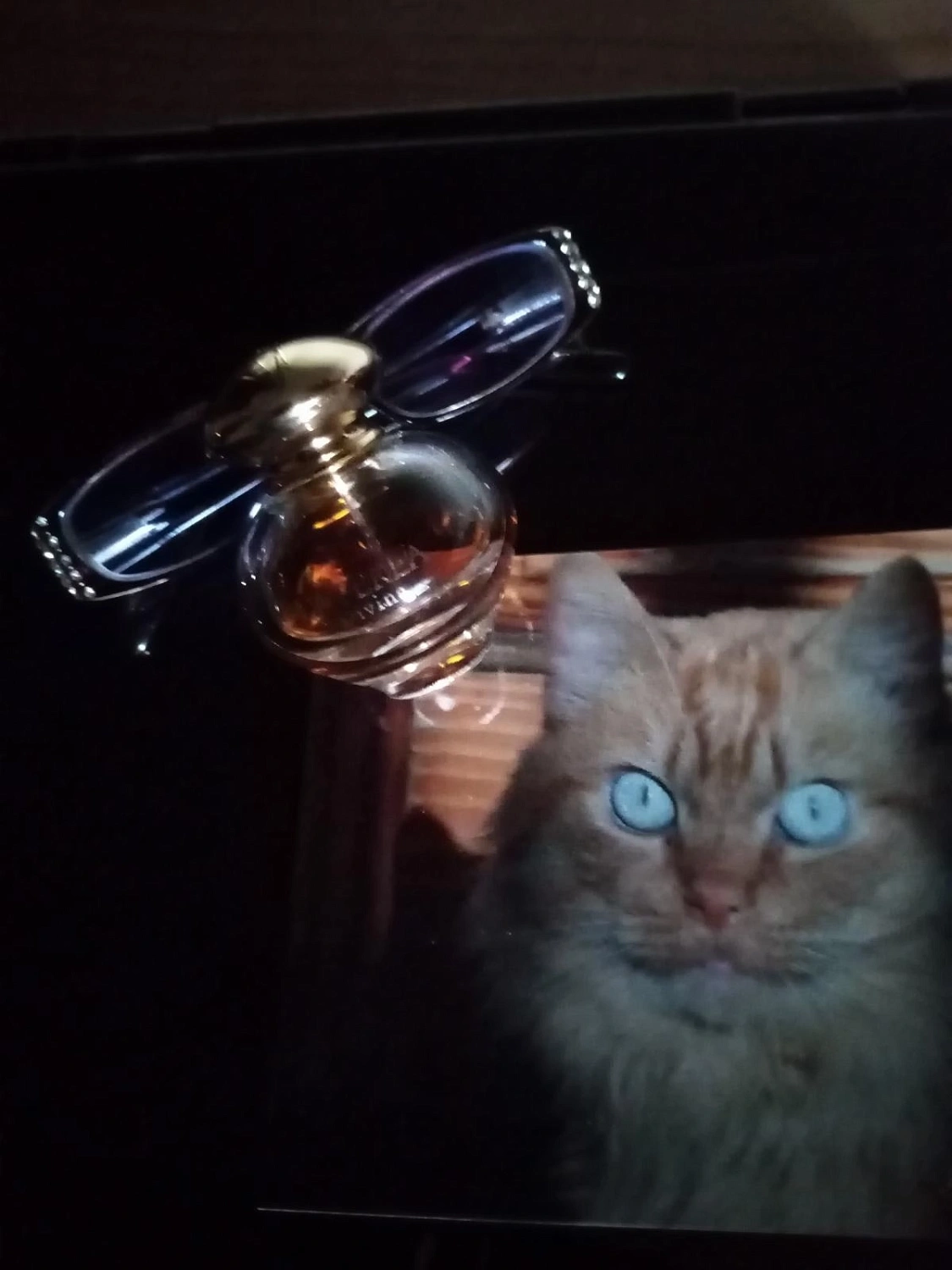 La Perla Divina Eau de Parfum