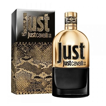 Фото Roberto Cavalli Just Cavalli Gold for Him