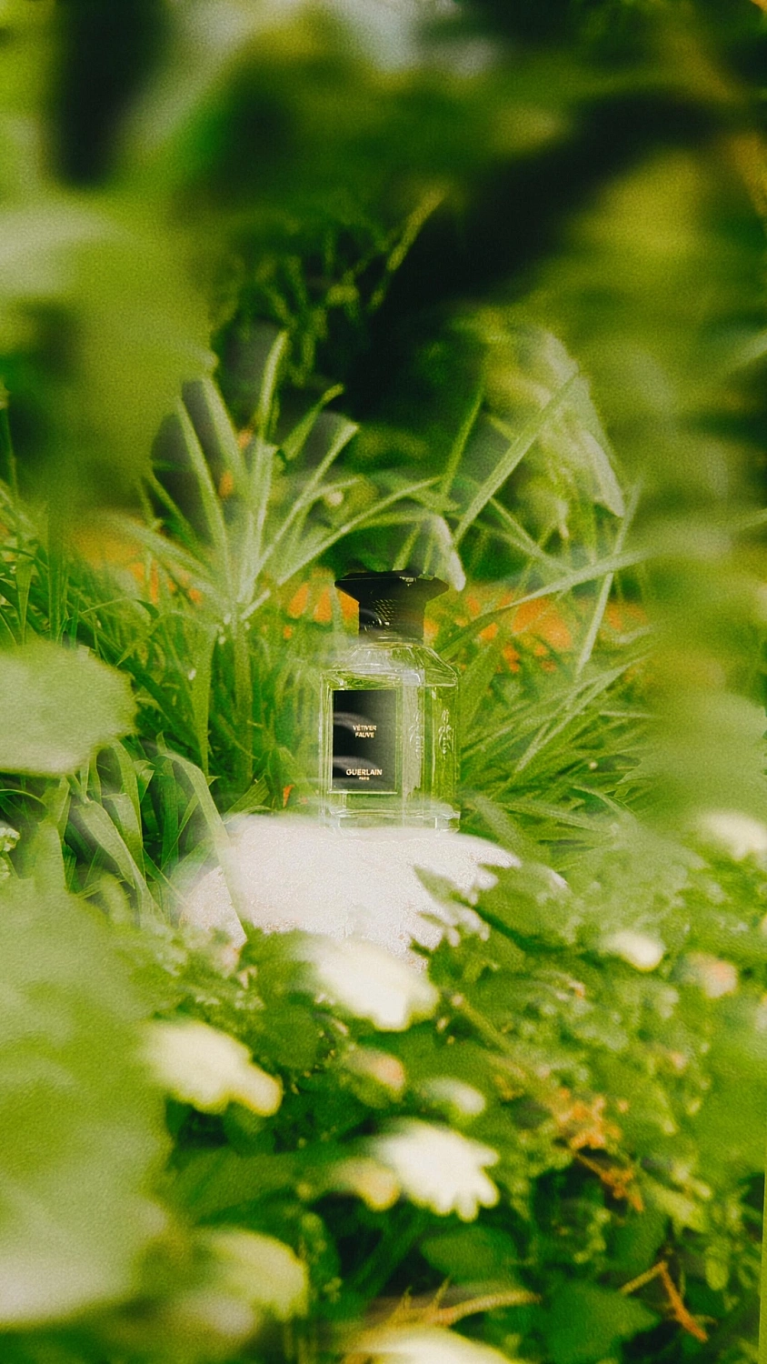 Guerlain Vetiver Fauve