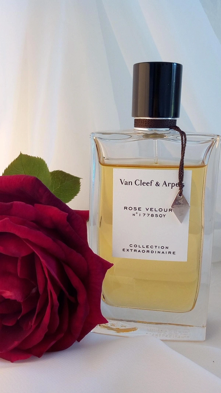 Van Cleef & Arpels Collection Extraordinaire Rose Velours