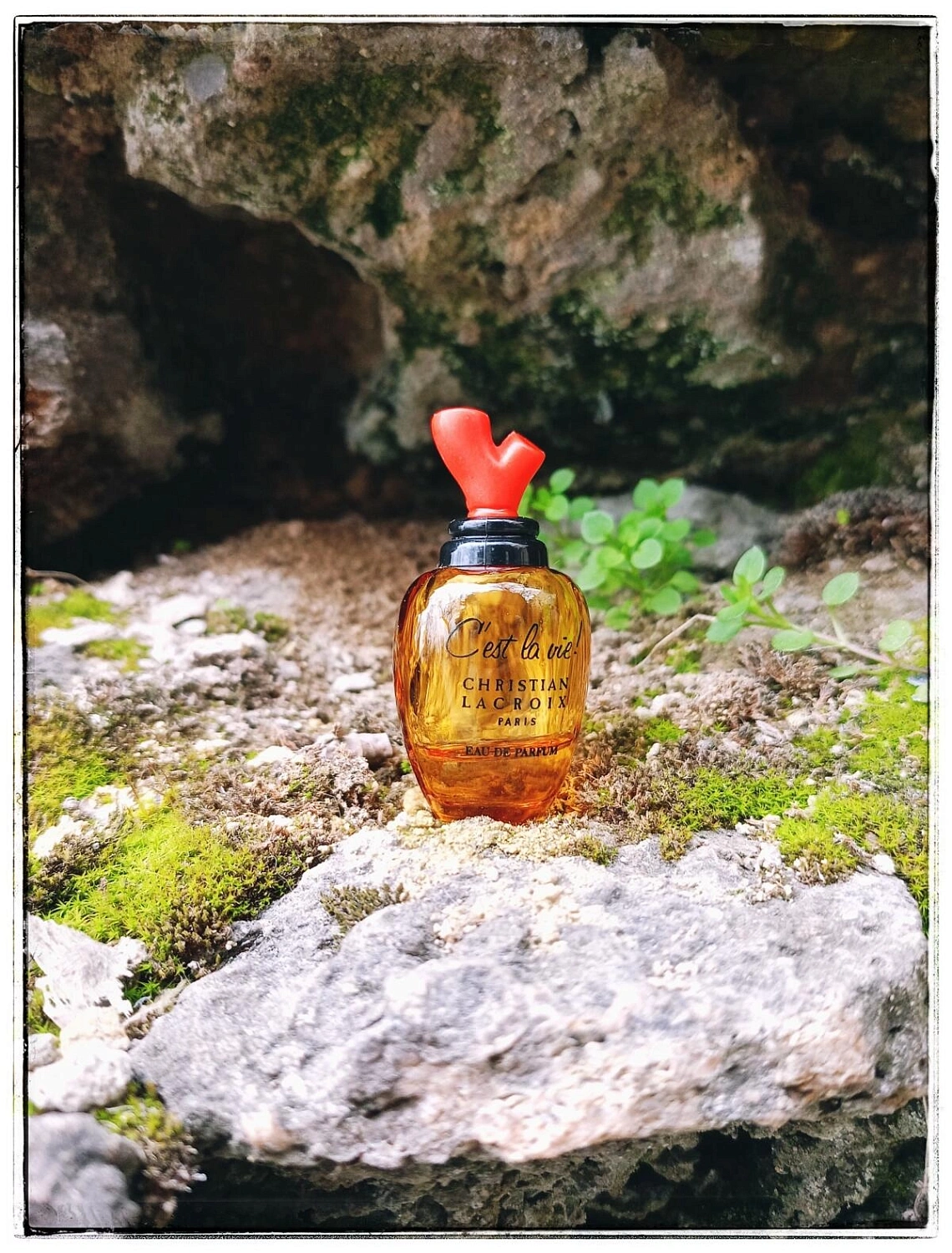 Christian Lacroix C`est La Vie