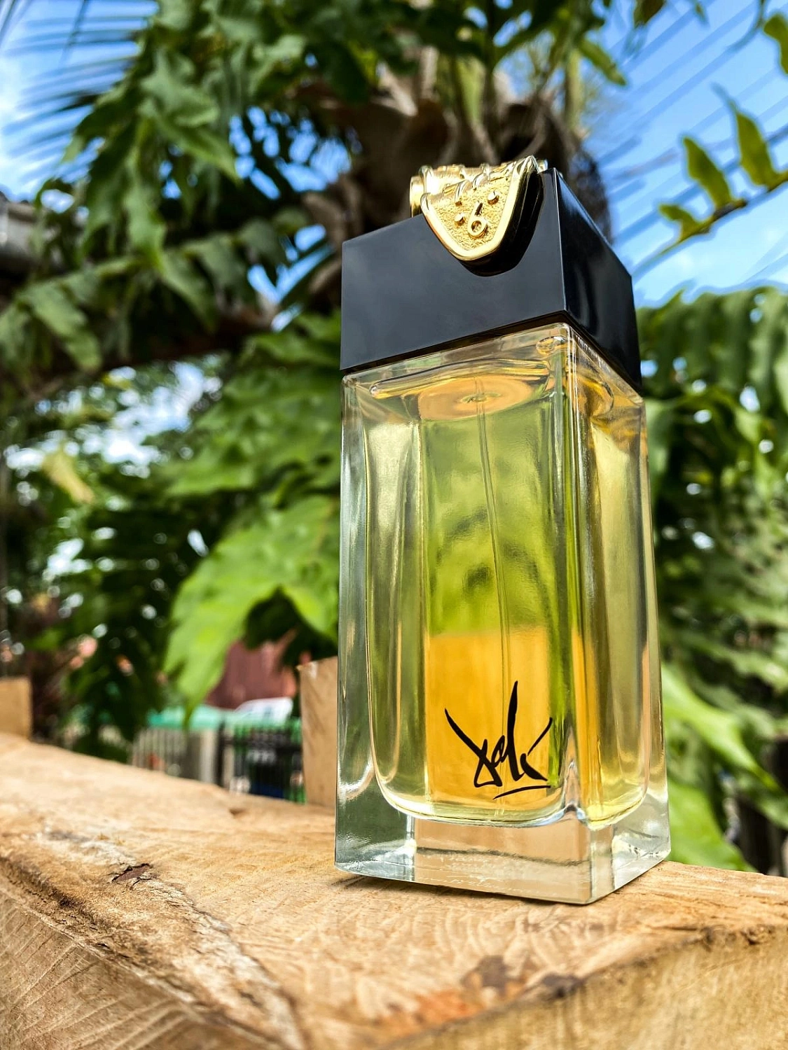 Salvador Dali Fluidite Du Temps Imaginaire