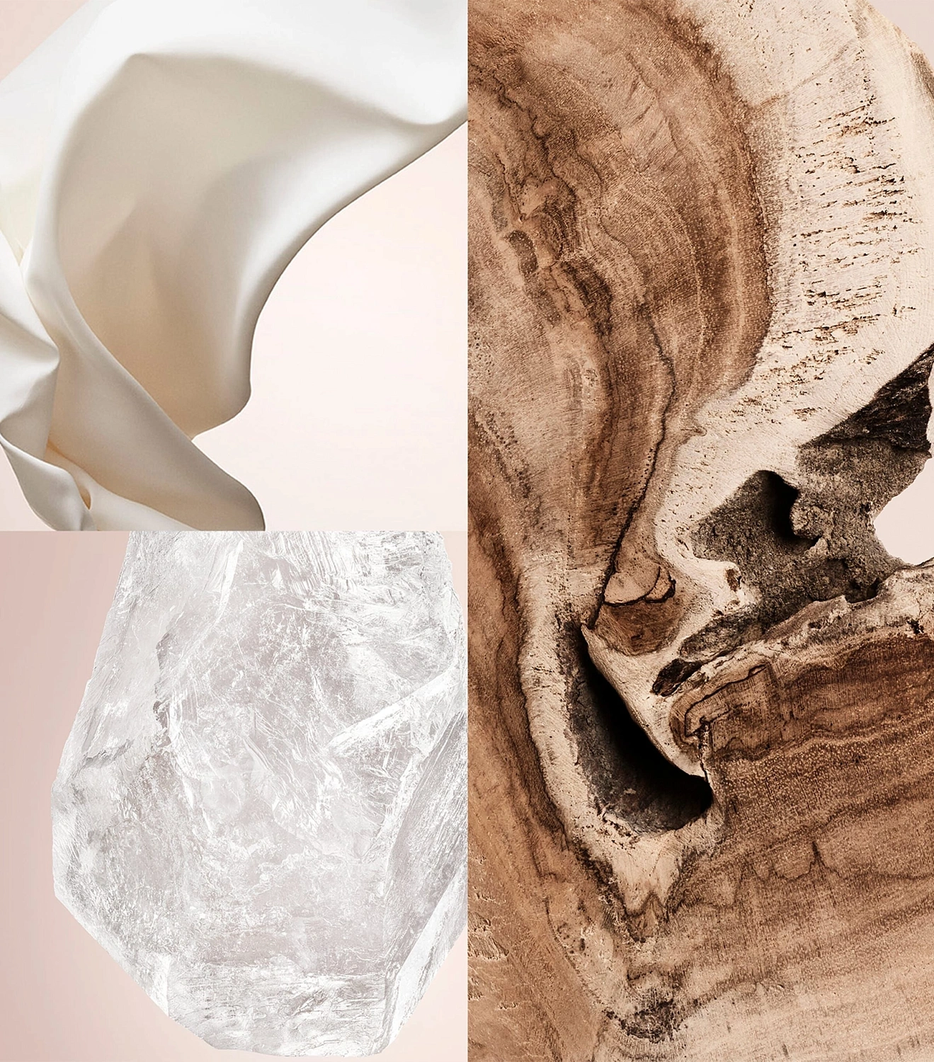 CAROLINA HERRERA Cedar Chic