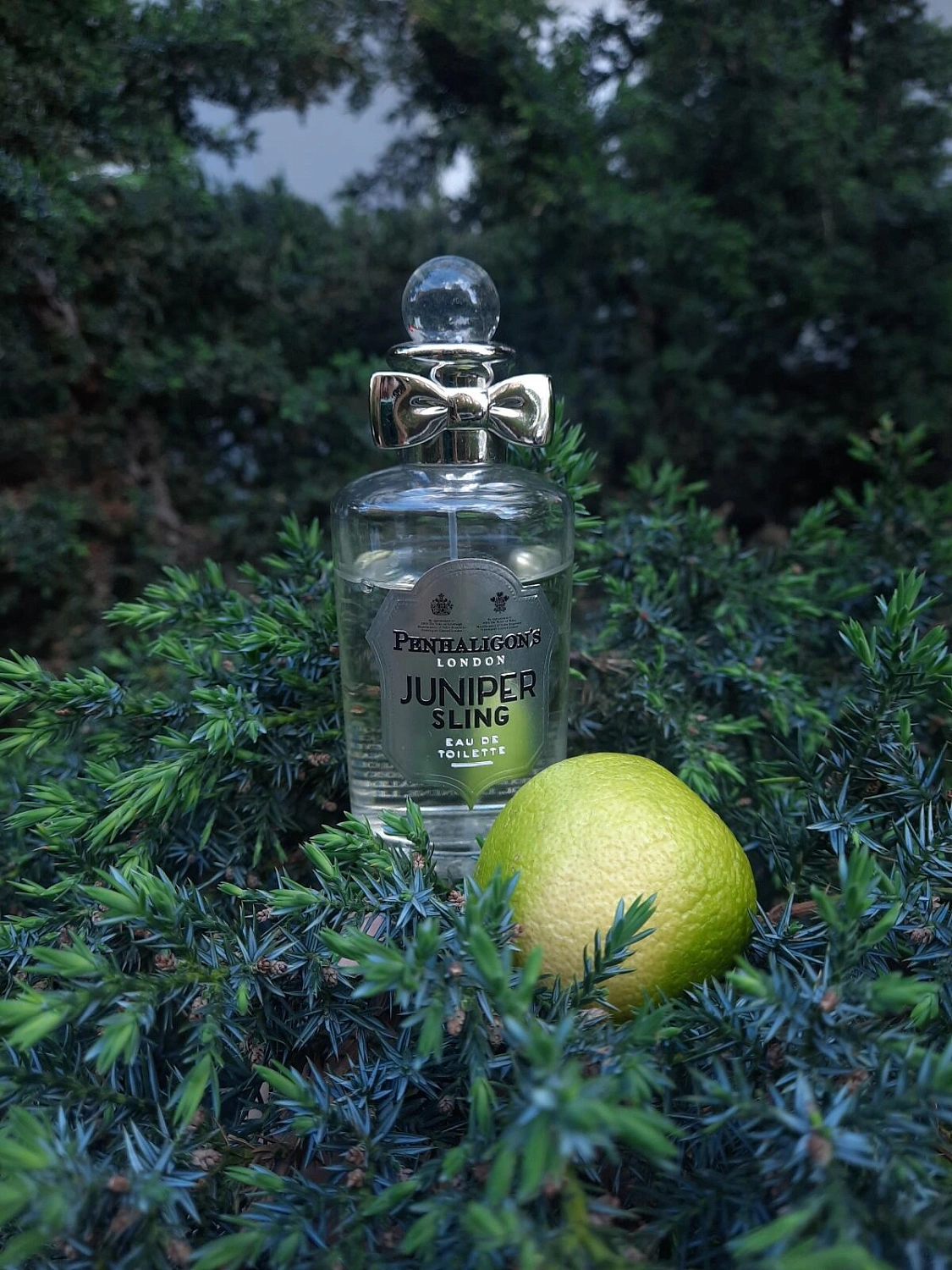 Penhaligon`s Juniper Sling