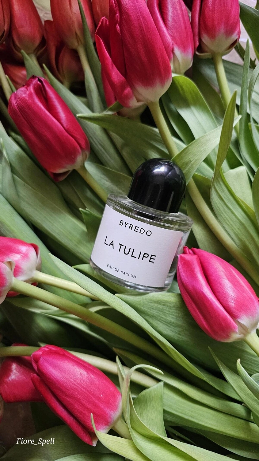 BYREDO La Tulipe