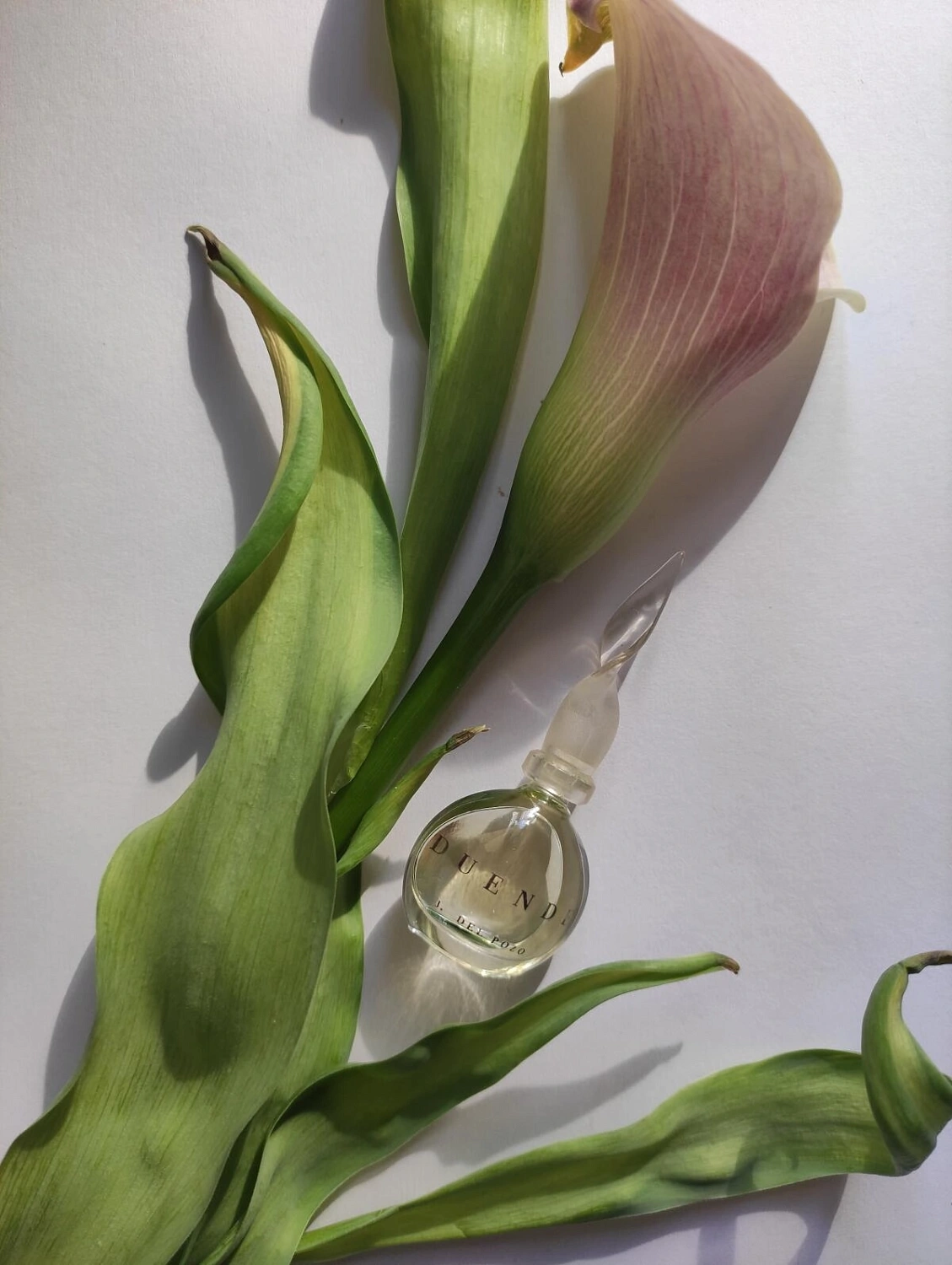 Jesus Del Pozo Duende