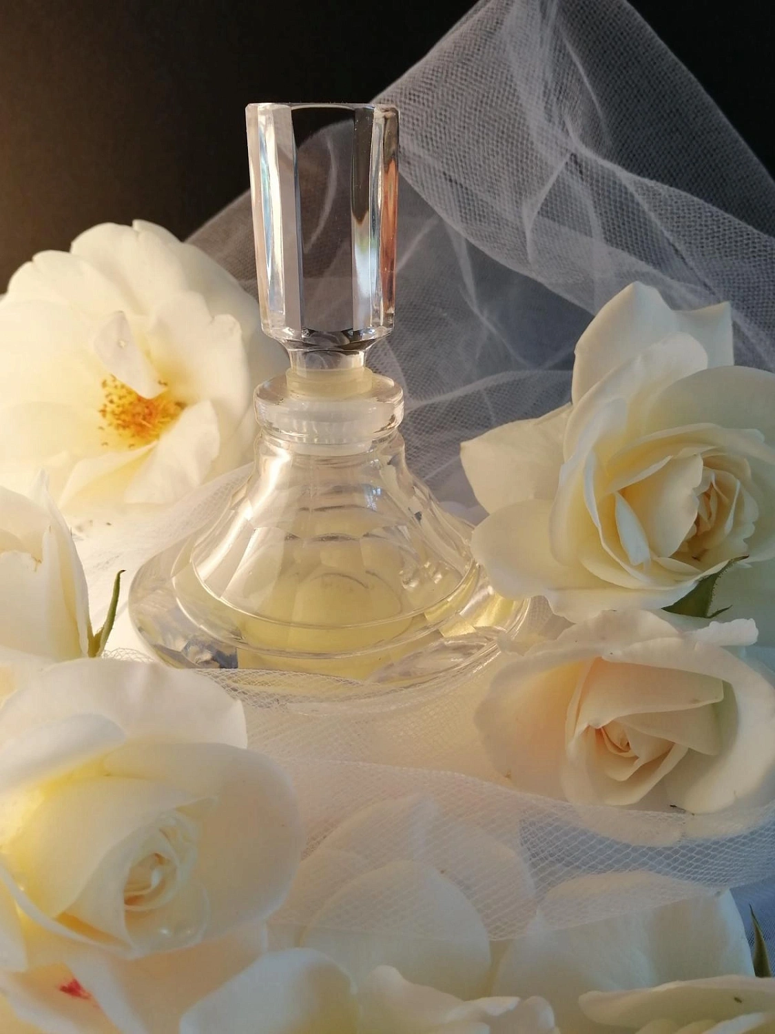 Shiseido White Rose
