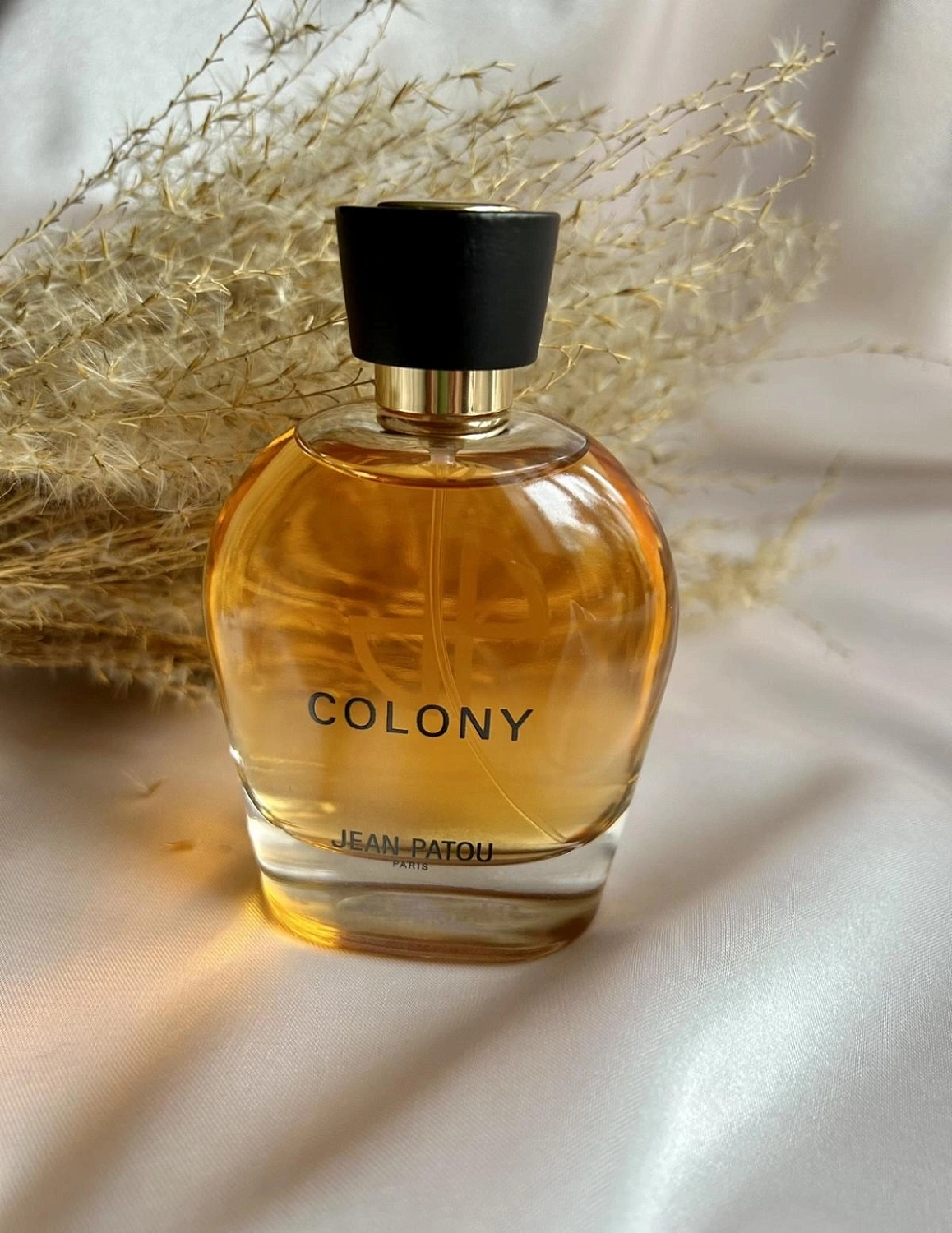 Jean Patou Collection Heritage Colony