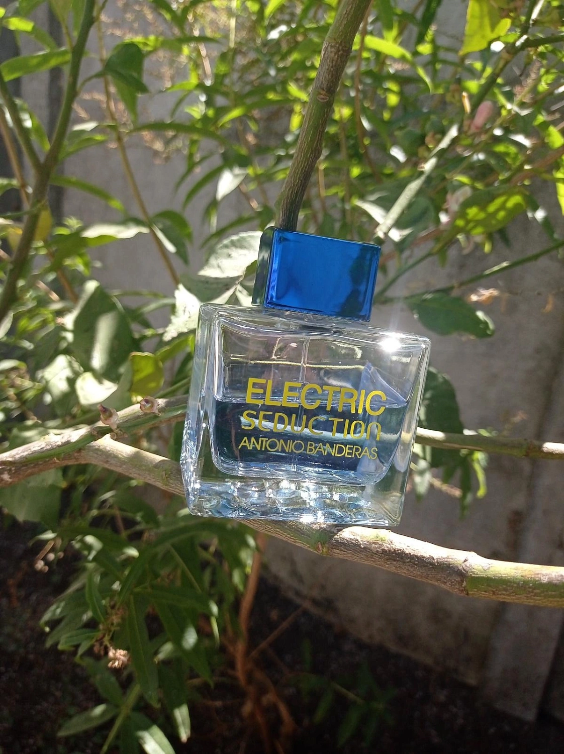 Antonio Banderas Electric Blue Seduction for Men Antonio Banderas Electric Blue Seduction for Men