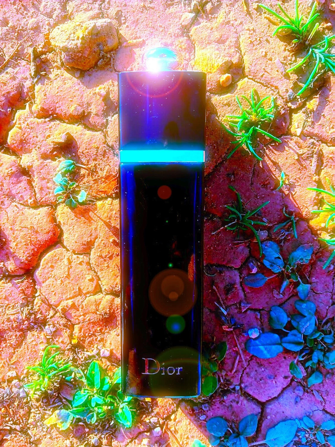 Christian Dior Addict Eau De Parfum 2014