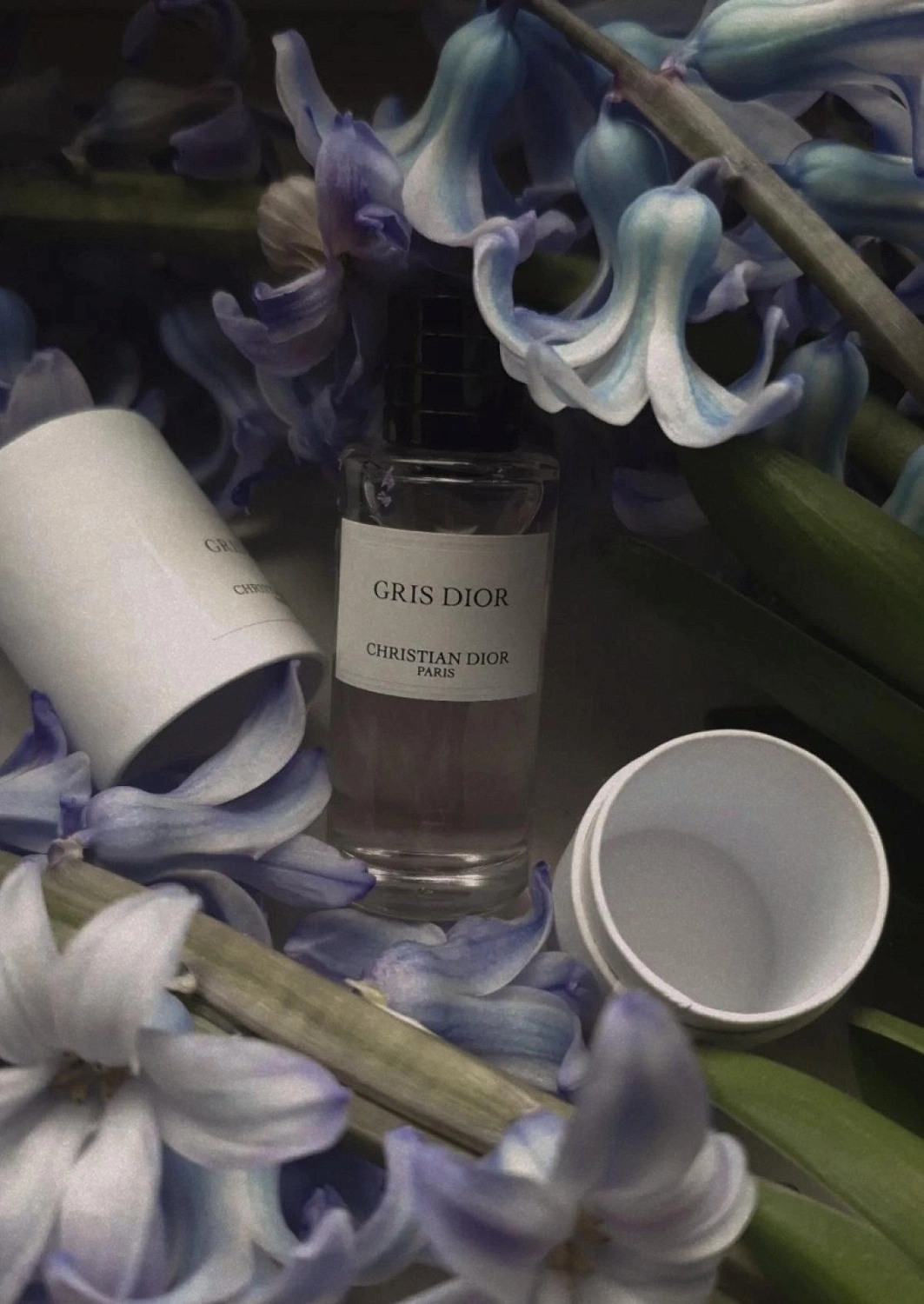 Christian Dior Gris Dior