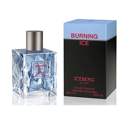 Iceberg Burning Ice
