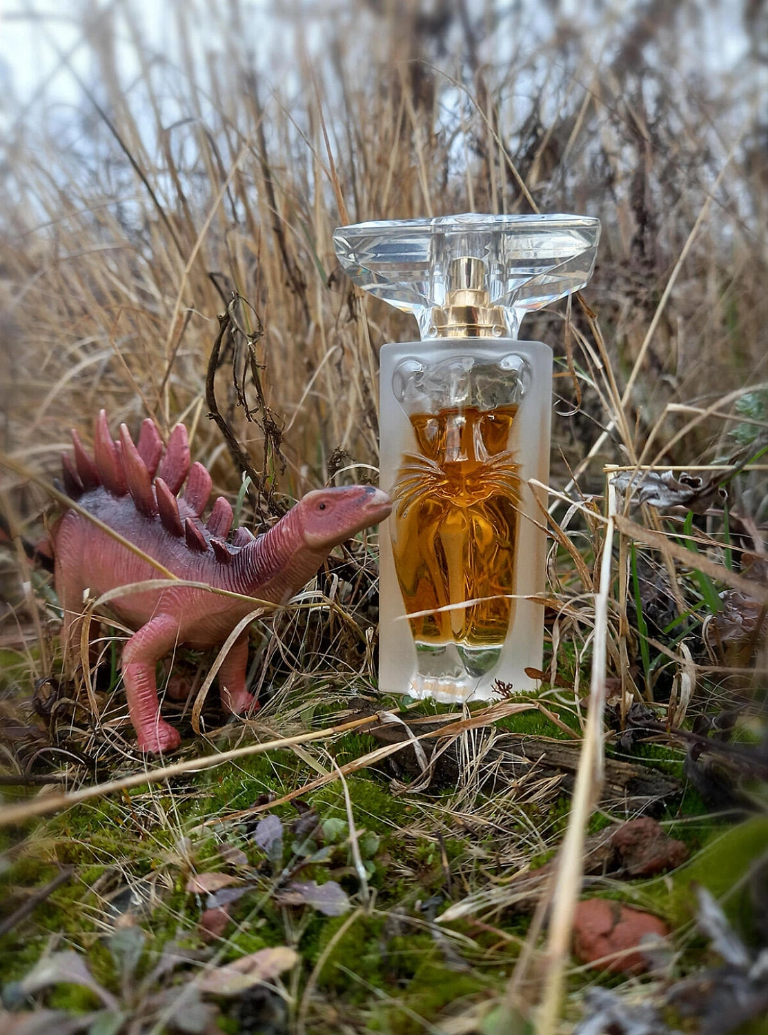 Salvador Dali La Belle et l’Ocelot