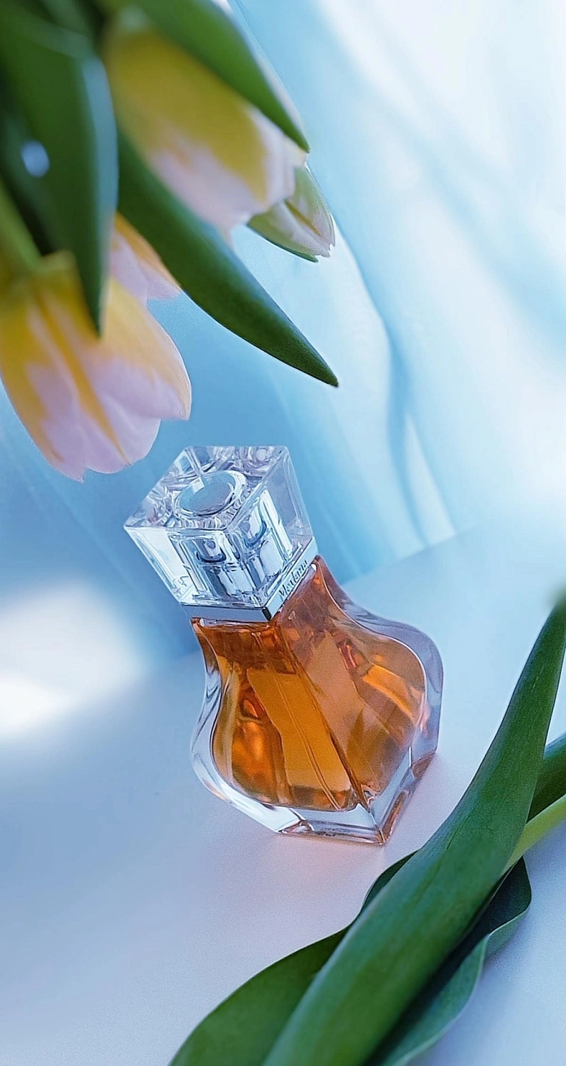 Montana Parfum de Femme