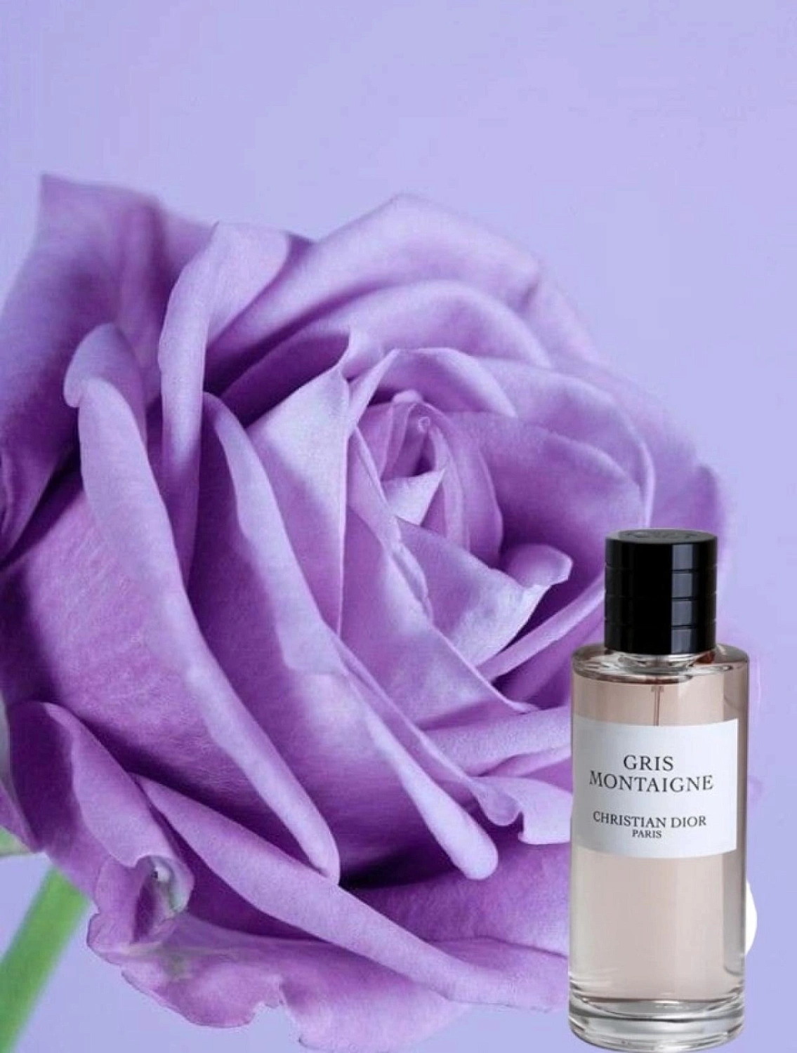 Christian Dior Gris Montaigne Christian Dior Gris Montaigne