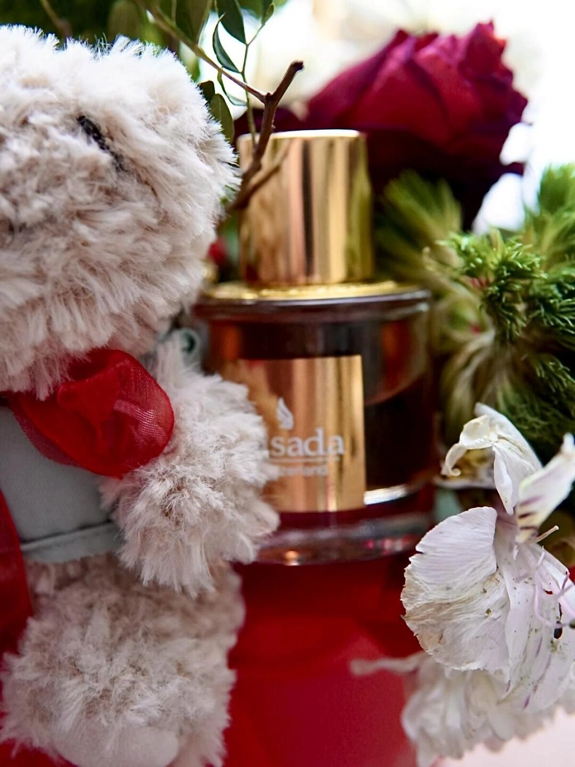 Gisada Ambassador Women