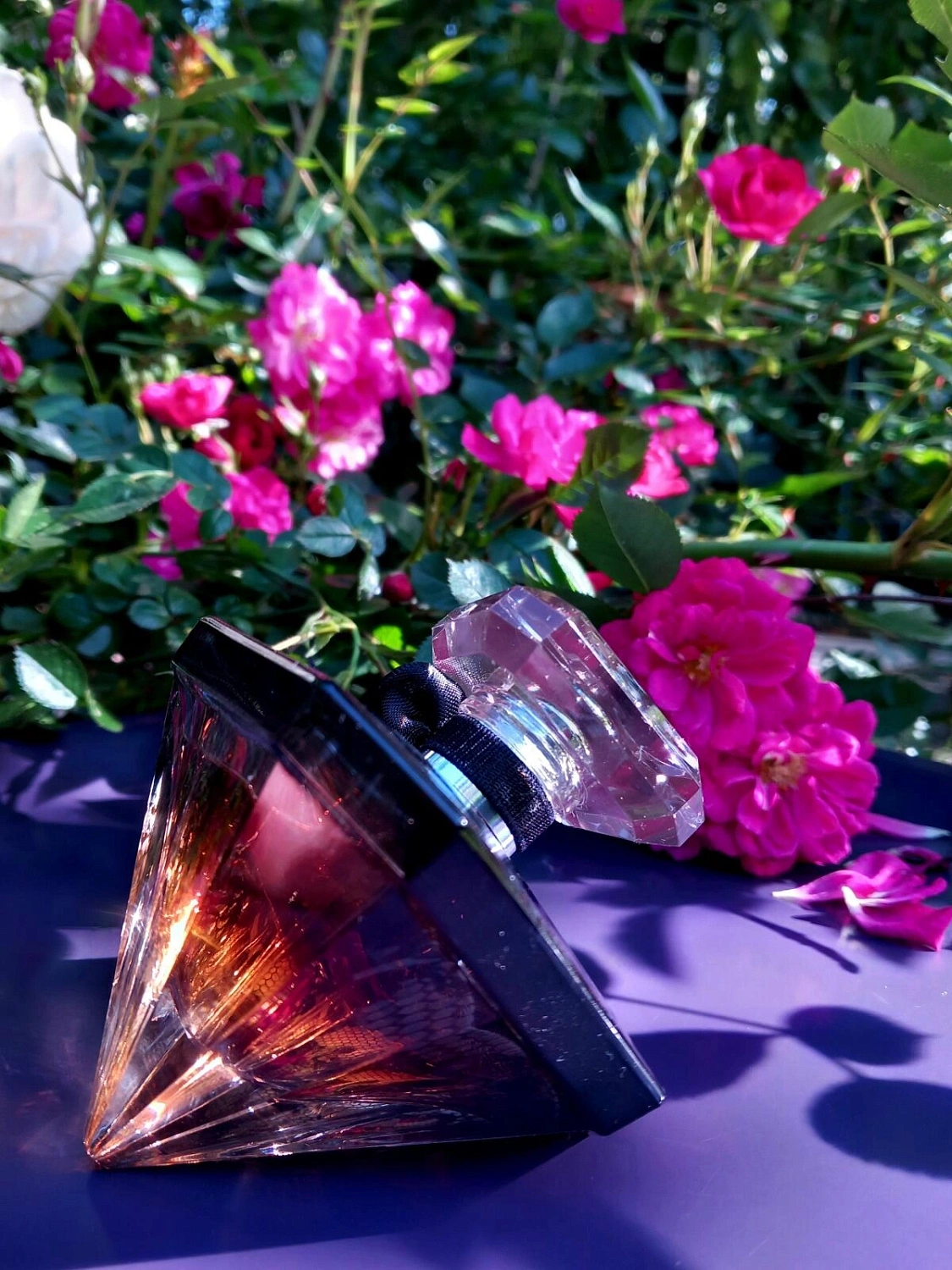 Lancome La Nuit Tresor Dentelle de Roses