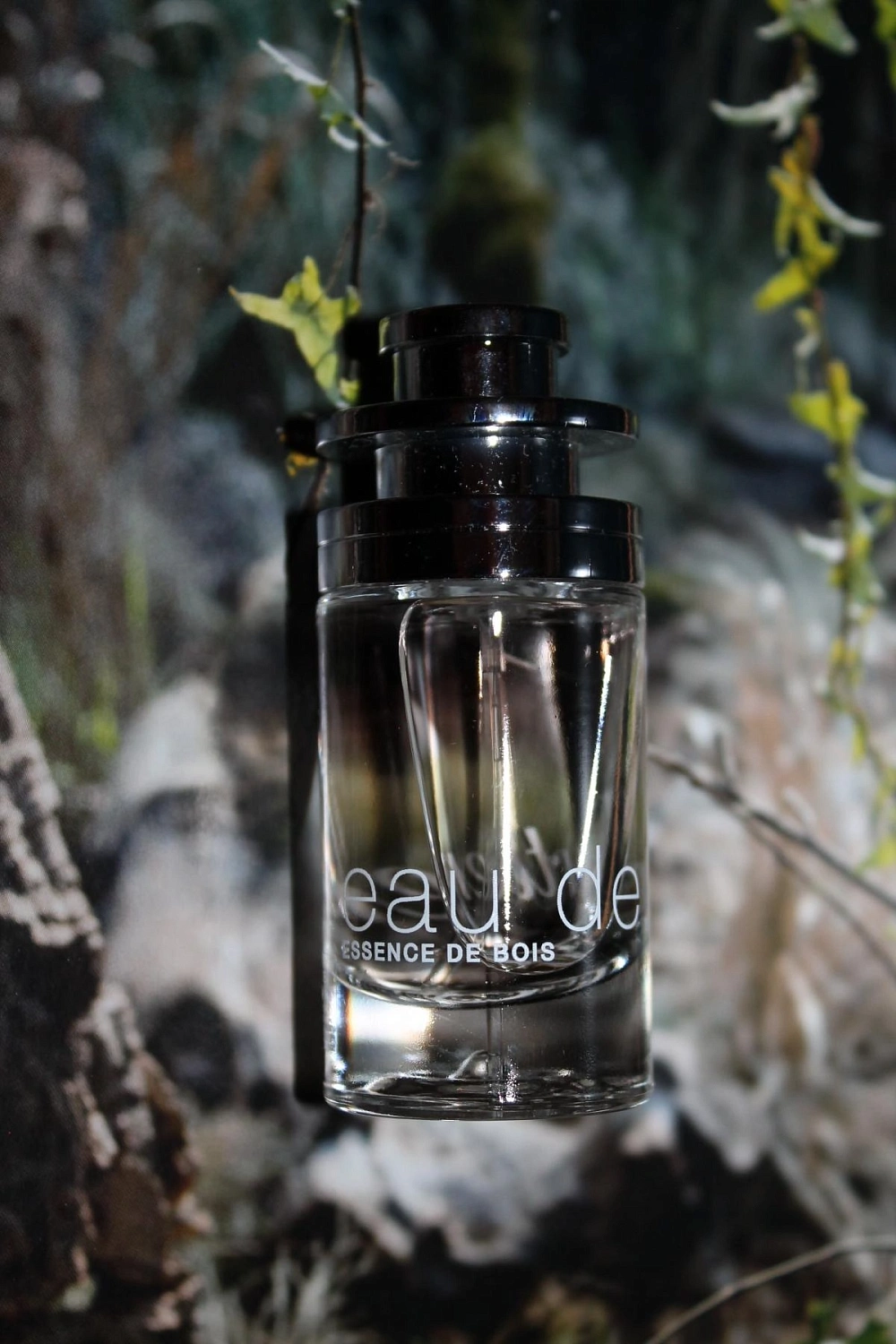 Eau de Cartier Essence de Bois