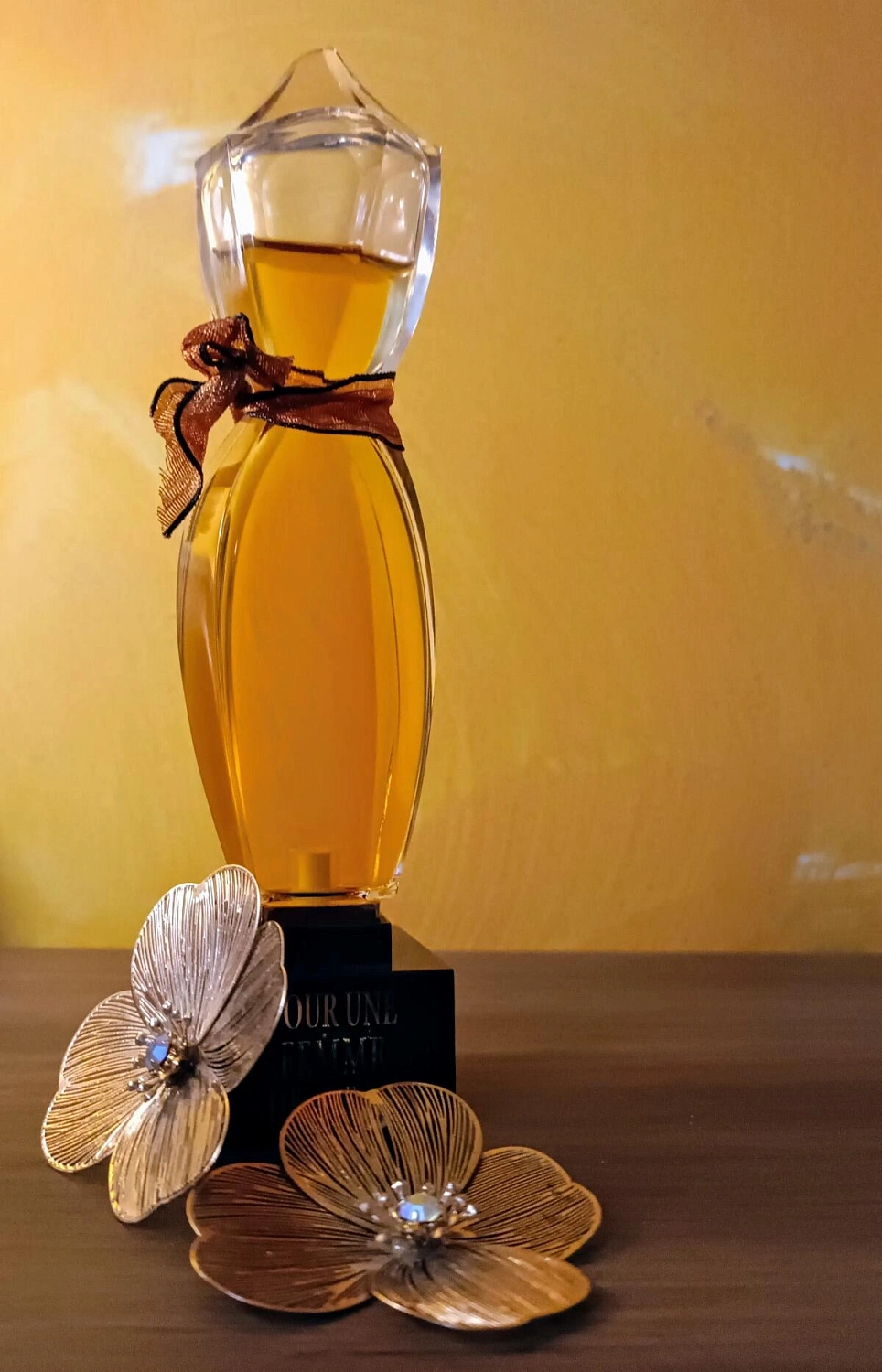 Caron Pour Une Femme Privee Collection