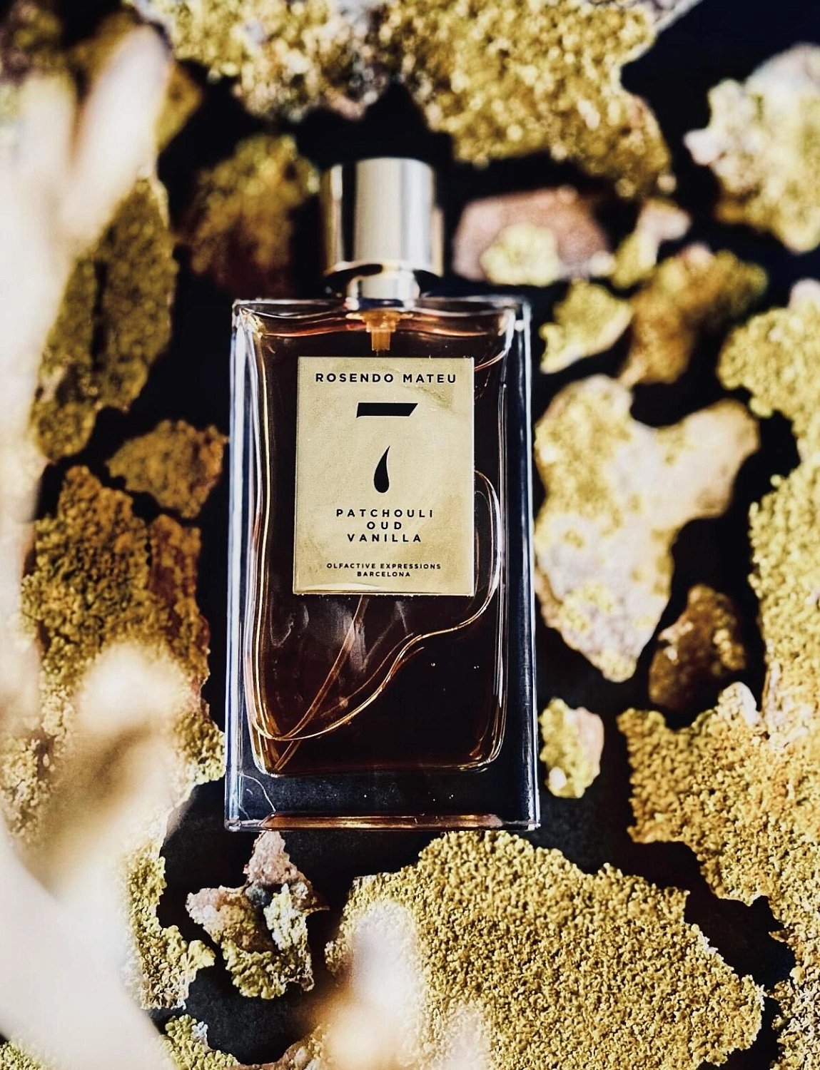 Rosendo Mateu Olfactive Expressions Rosendo Mateu Nº 7 Patchouli, Oud, Vanilla