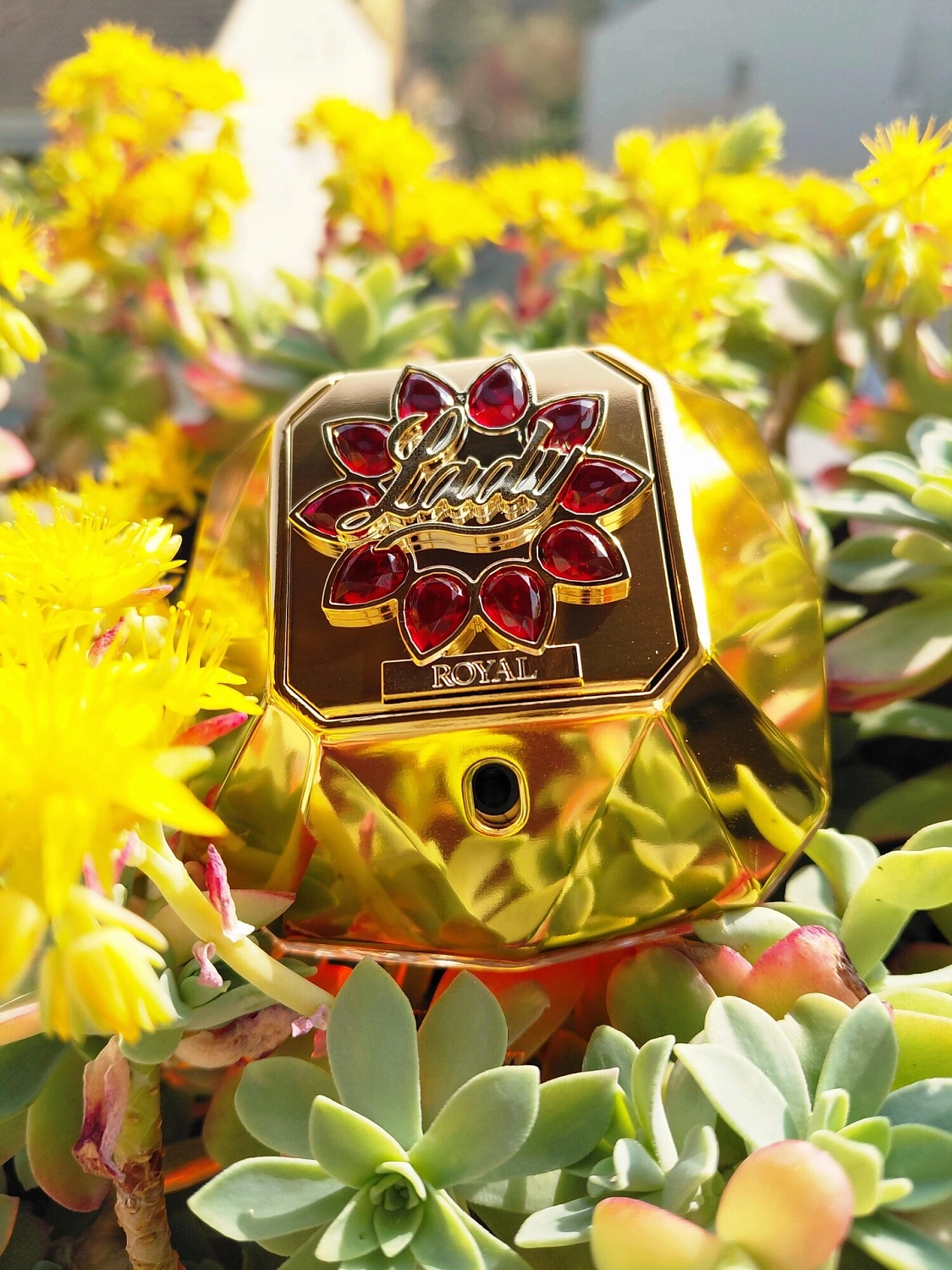 Paco Rabanne Lady Million Royal