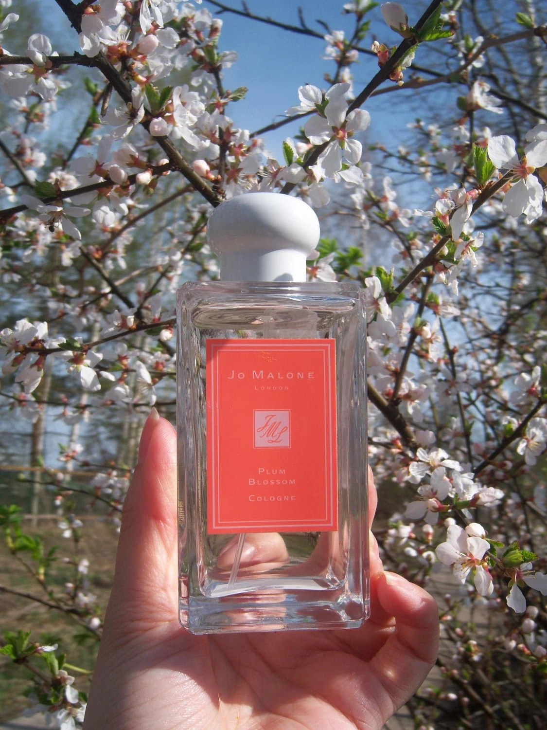 Jo Malone Plum Blossom