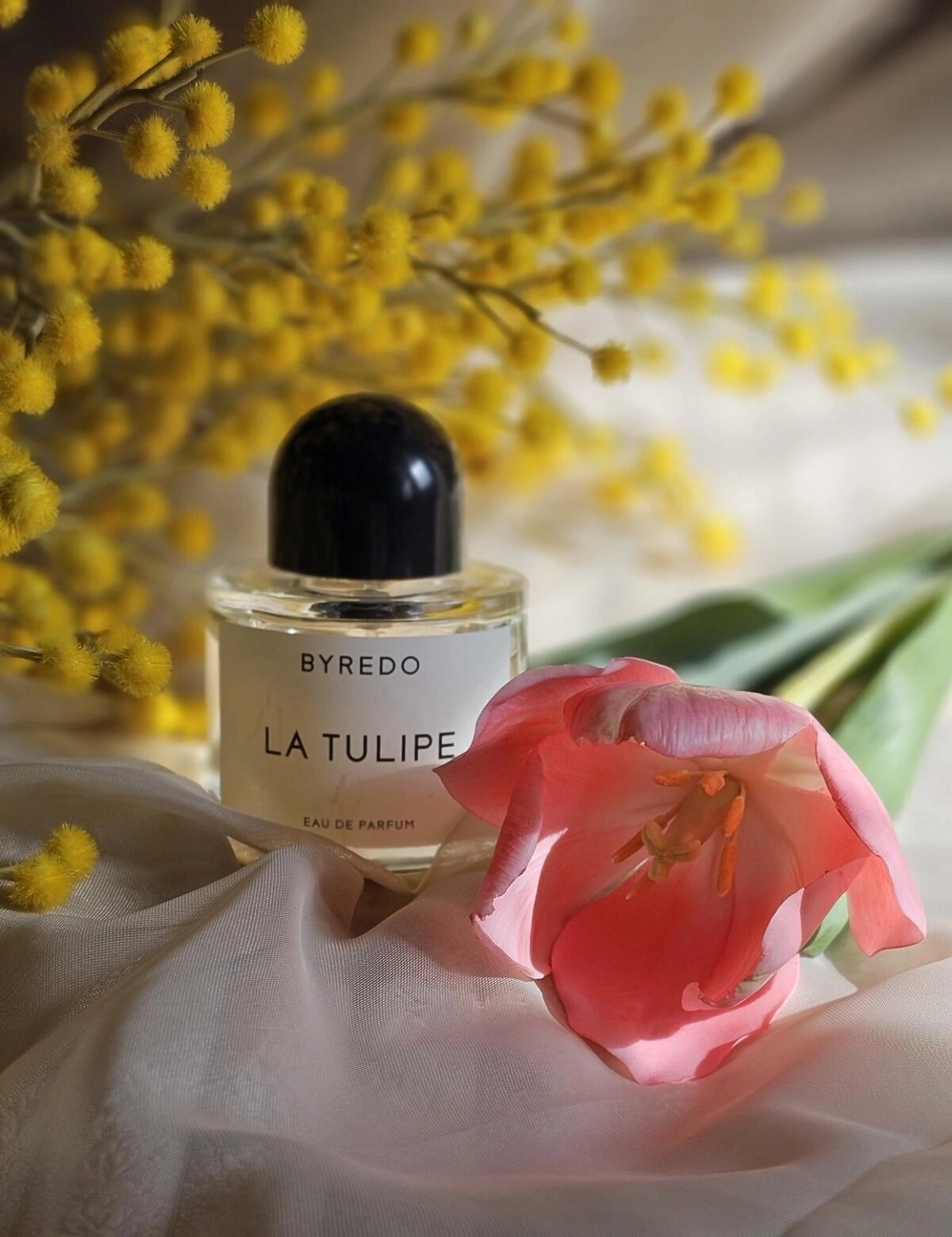 BYREDO La Tulipe