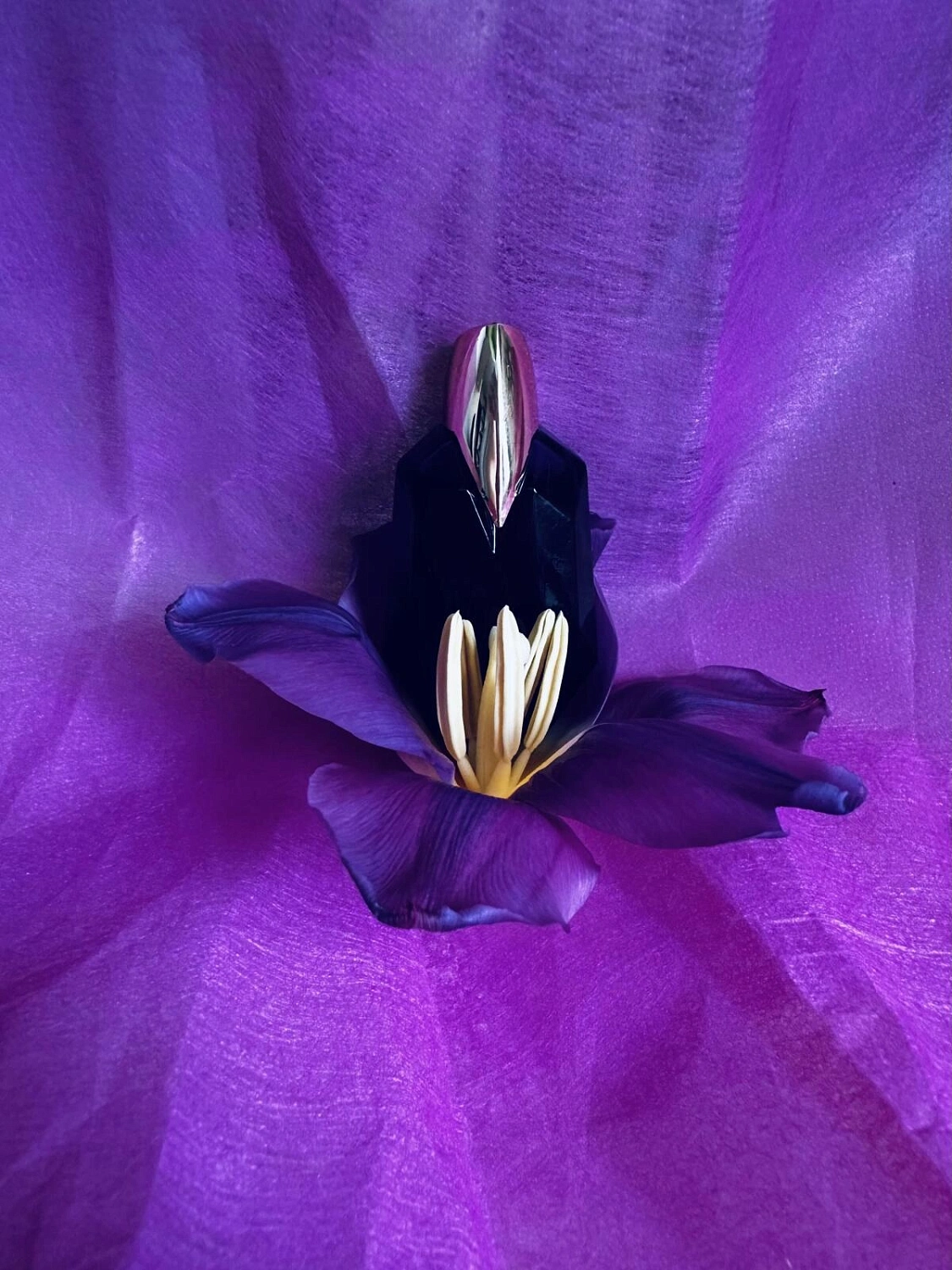 Mugler Alien Extraintense