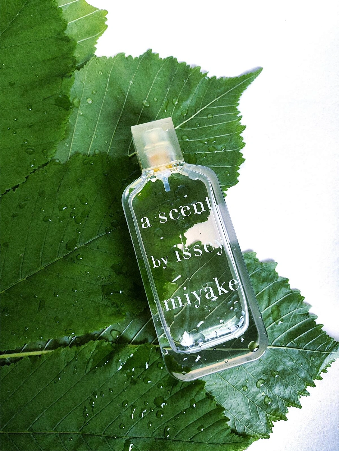 A Scent by Issey Miyake
