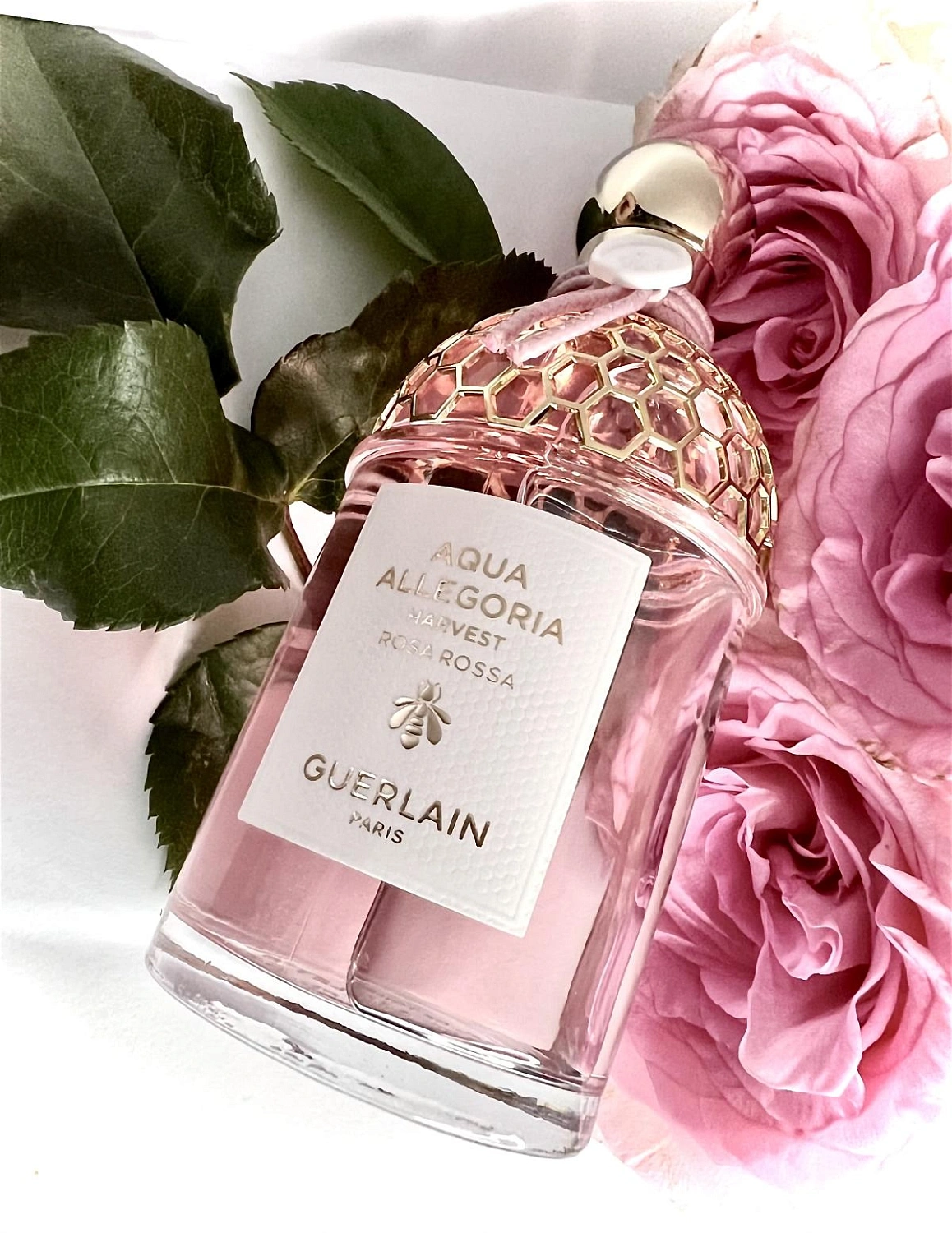 Guerlain Rosa Rossa Harvest Guerlain Rosa Rossa Harvest