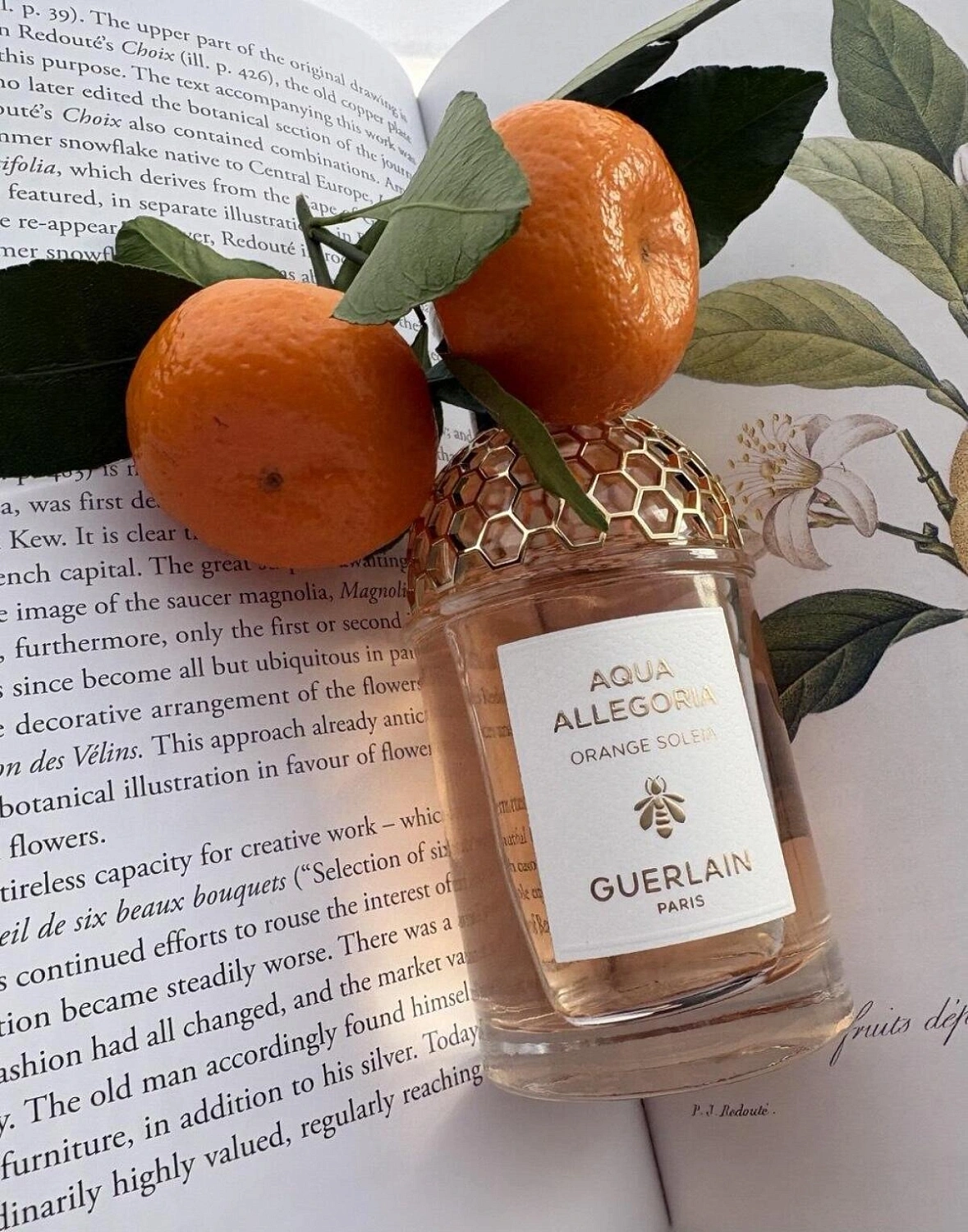 Guerlain Aqua Allegoria Orange Soleia