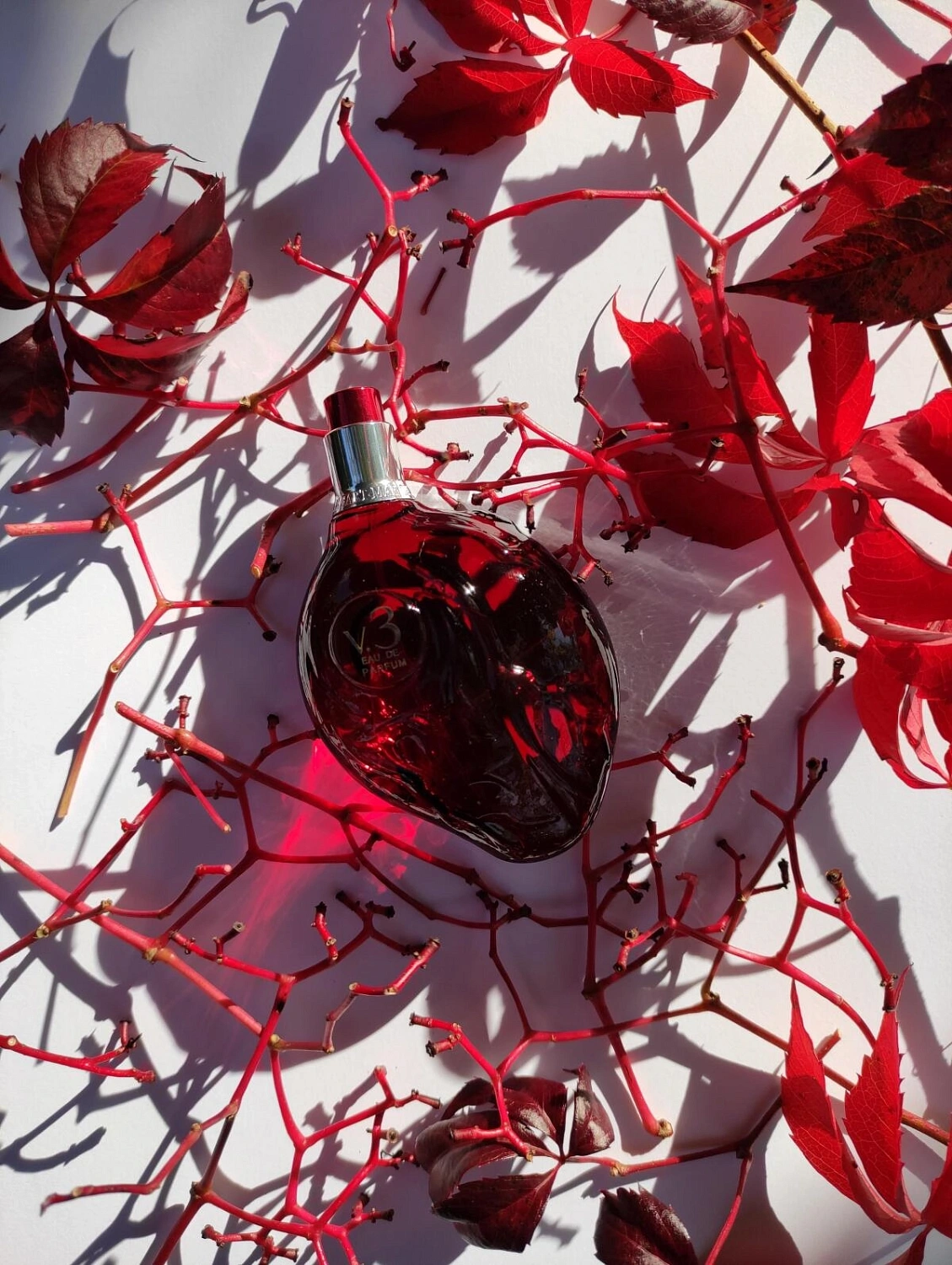 Map Of The Heart V.3 Passion