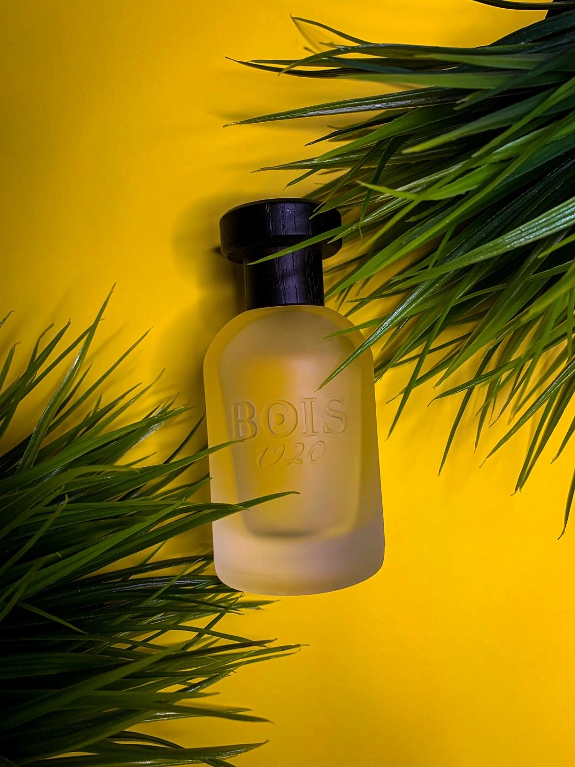 Bois 1920 Classic Paradise