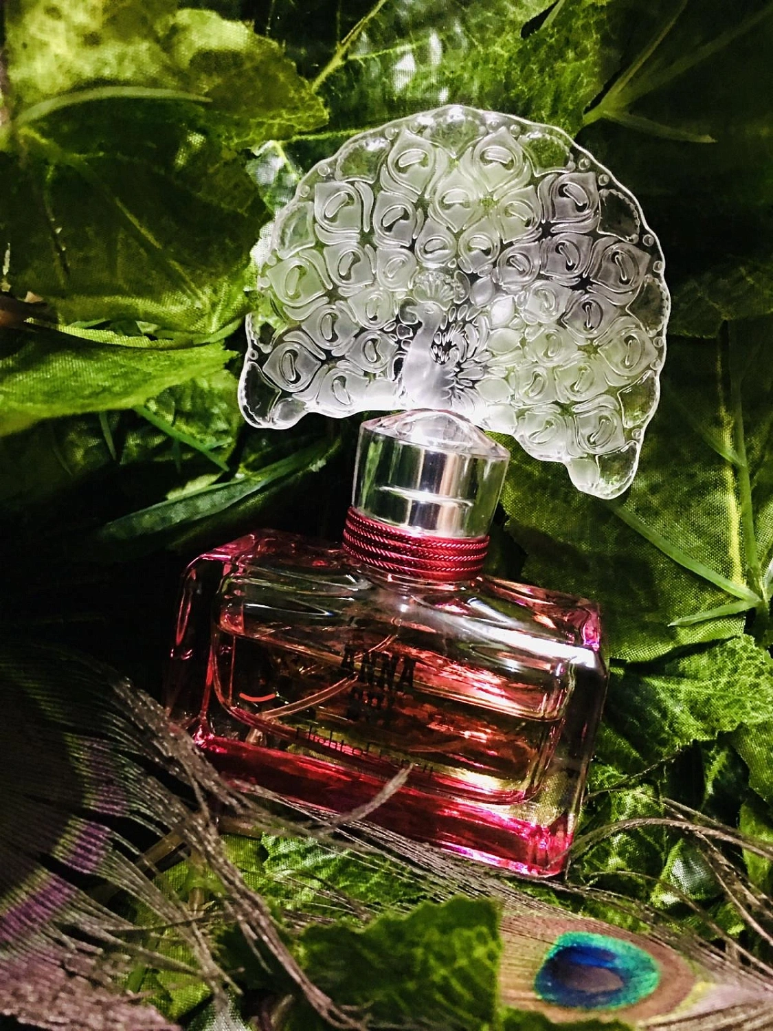 ANNA SUI Flight of Fancy