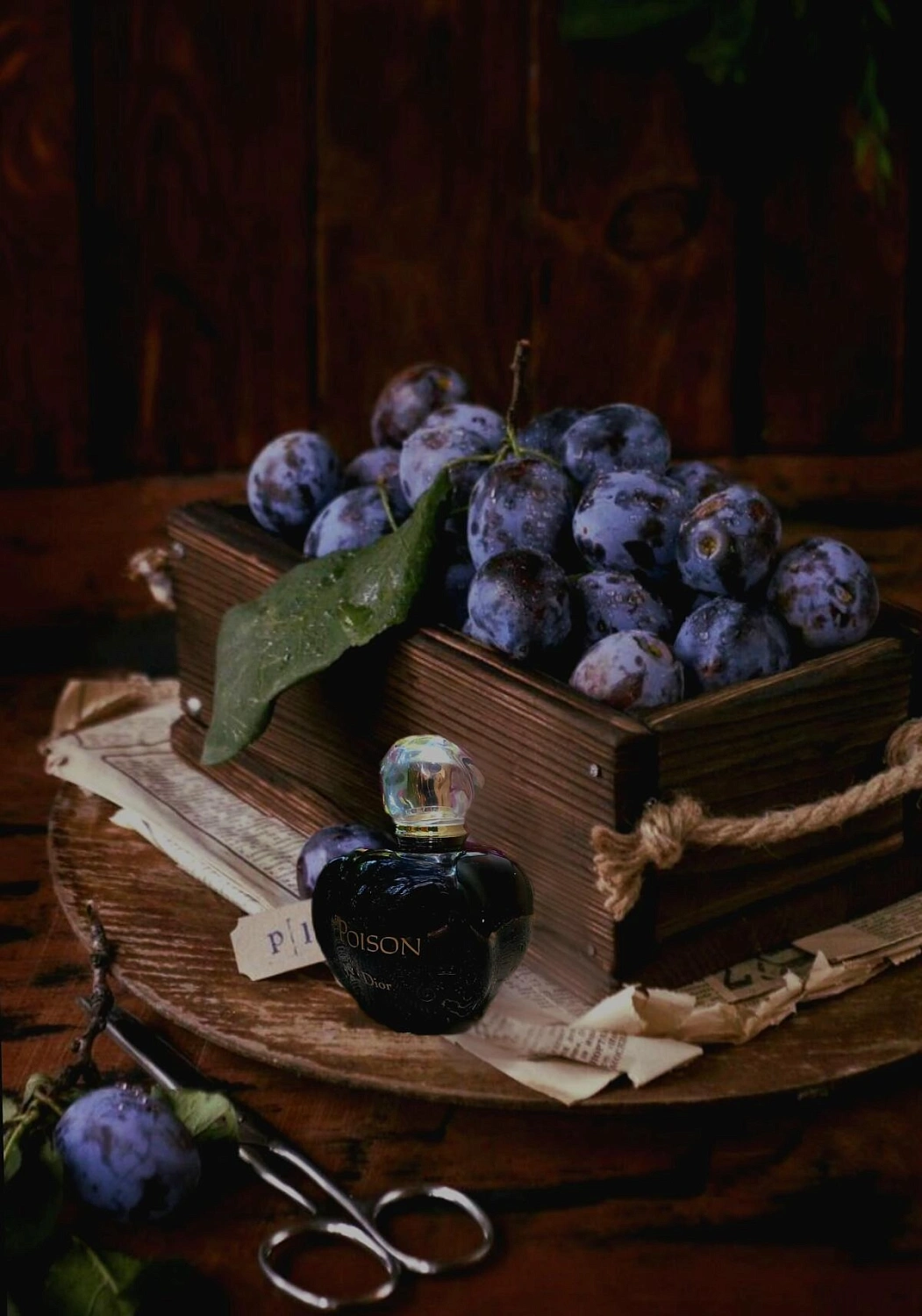 Christian Dior Poison