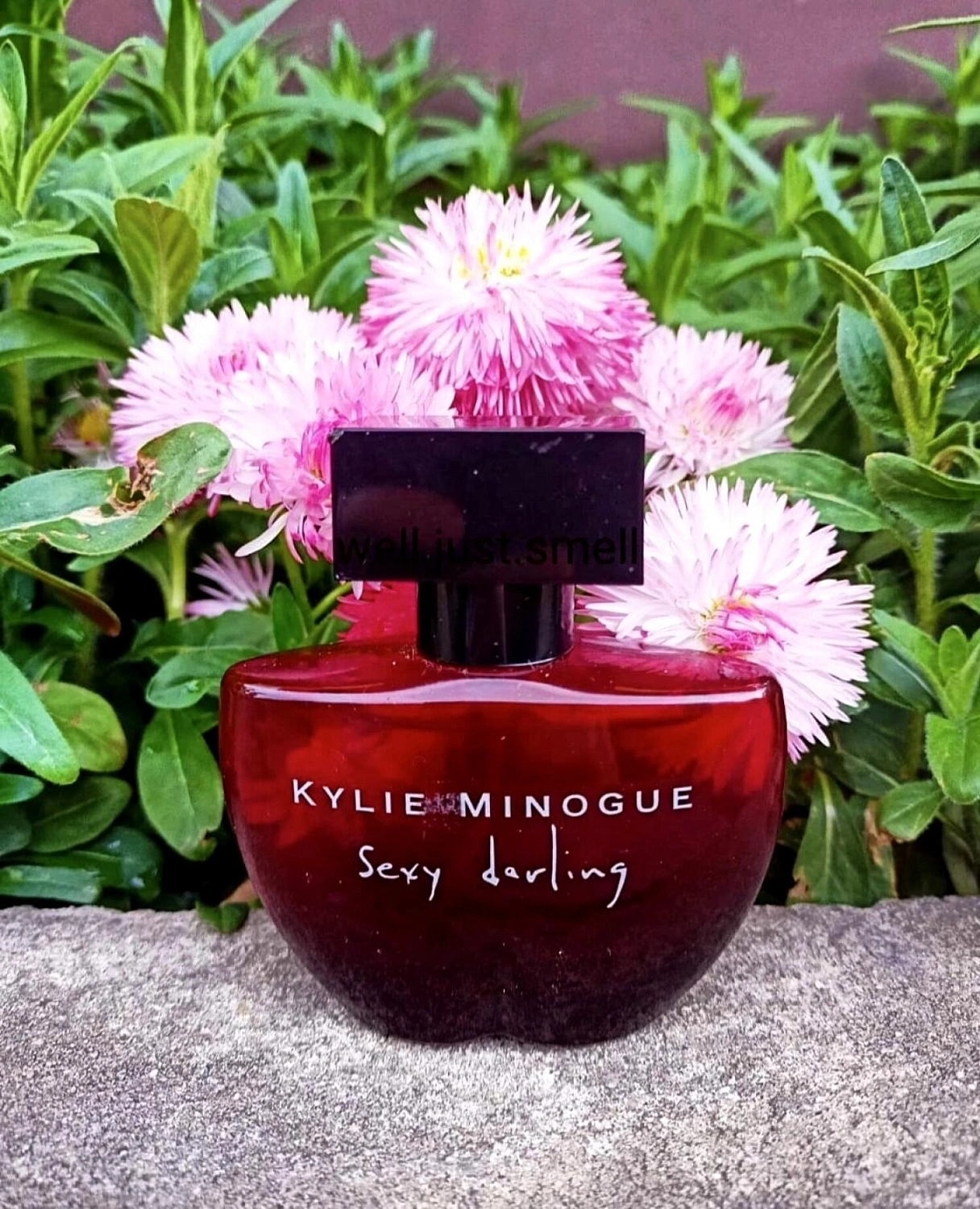Kylie Minogue Sexy Darling