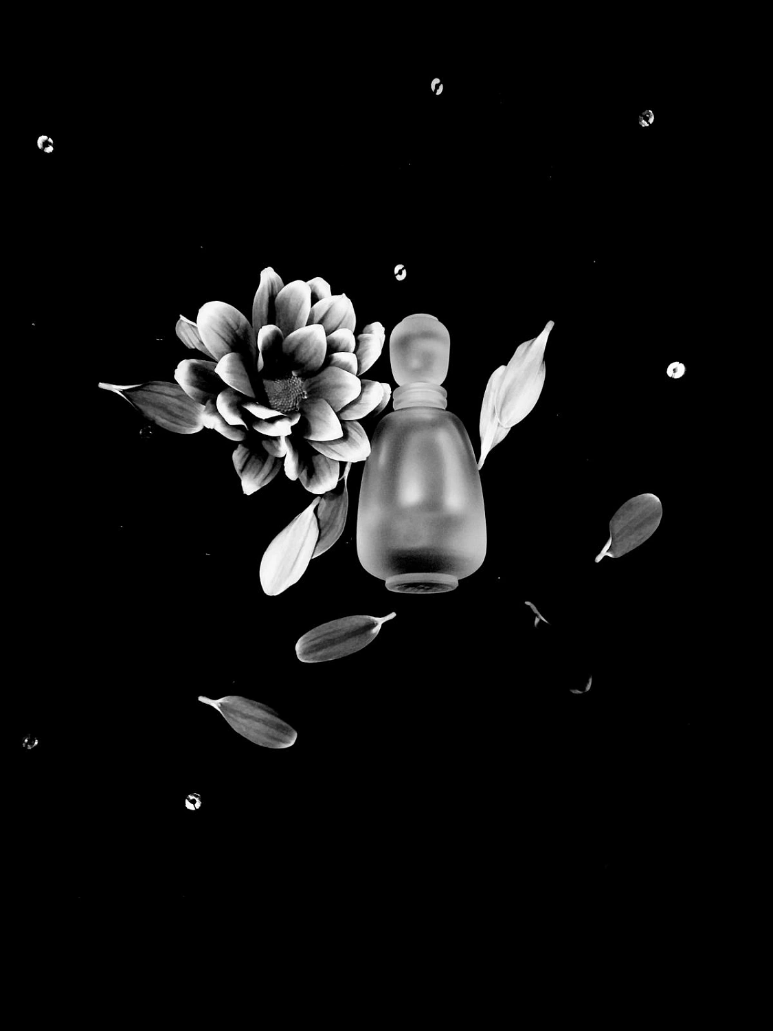 Estee Lauder Private Collection