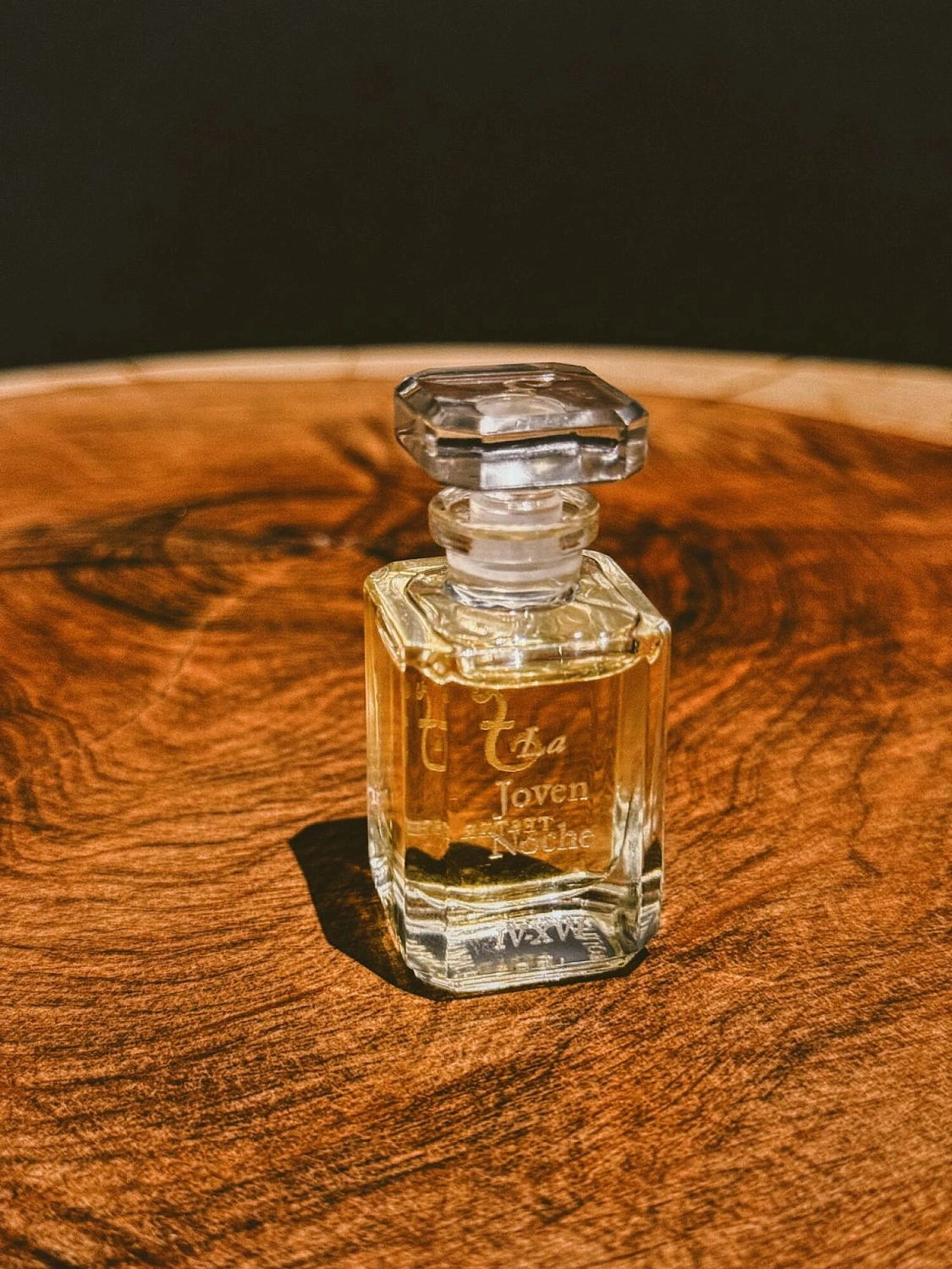 Fueguia 1833 La Joven Noche