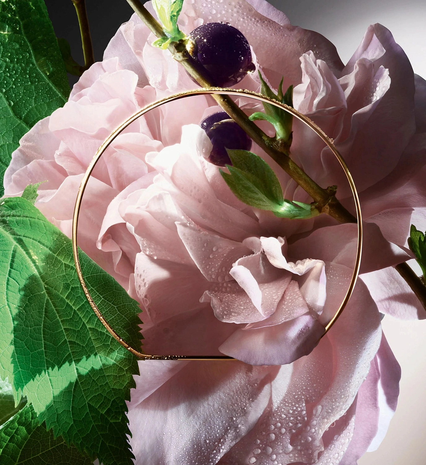 Lancome Absolue Storm & Roses