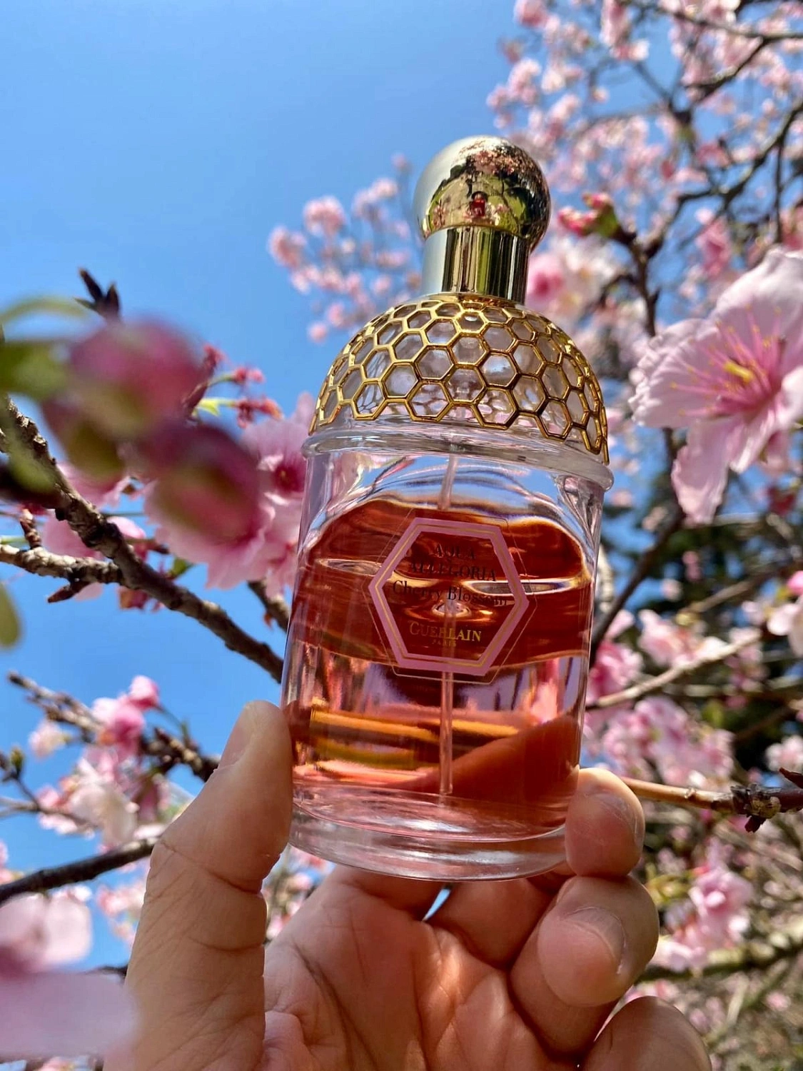 Guerlain Aqua Allegoria Cherry Blossom