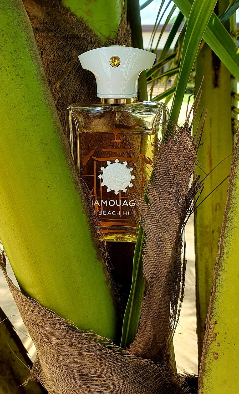 Amouage Beach Hut Man