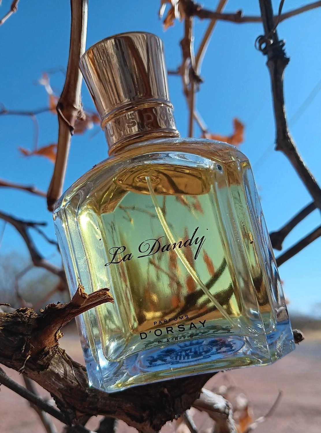 D`Orsay Femme la Dandy D`Orsay Femme la Dandy