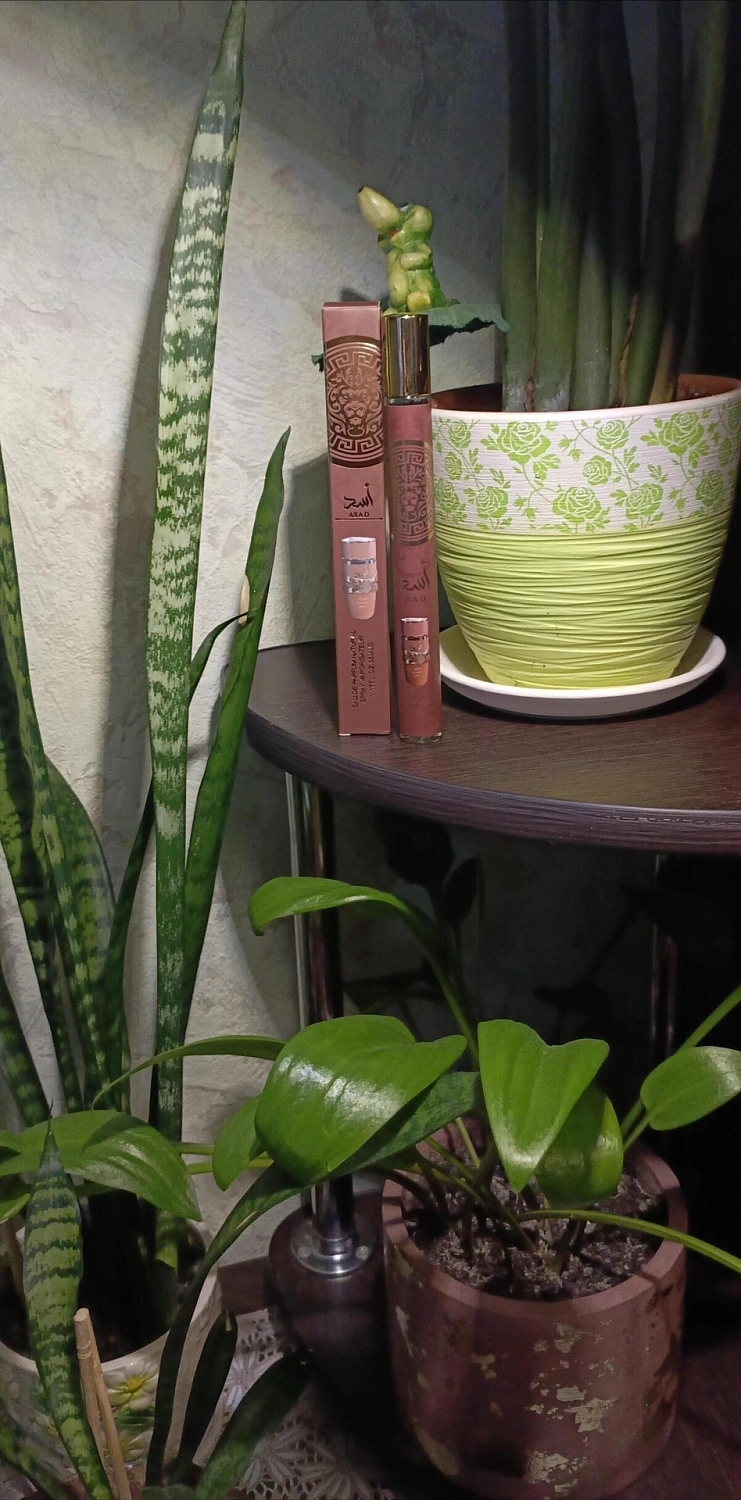 Lattafa Asad Bourbon