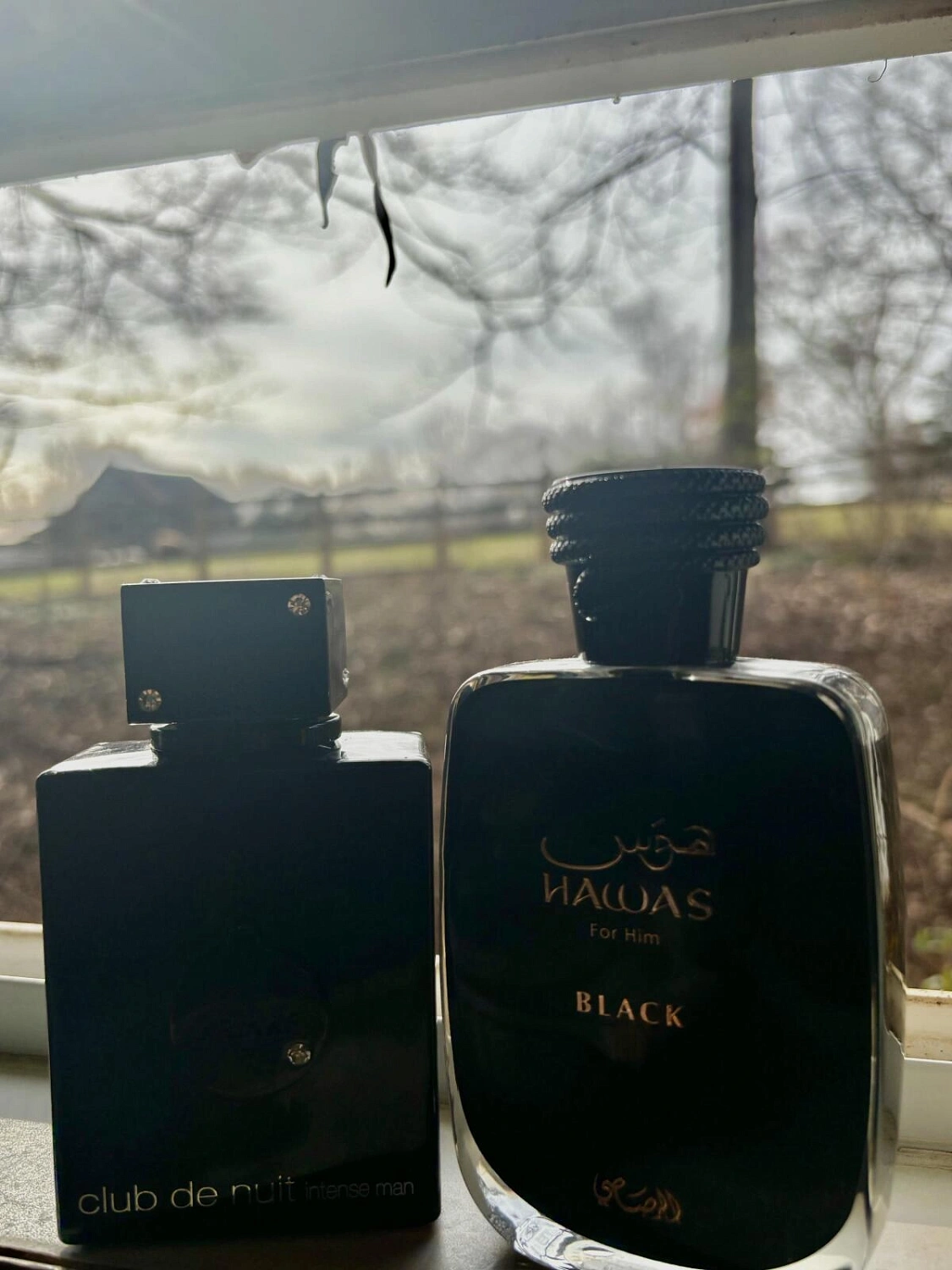 Armaf Club de Nuit Intense