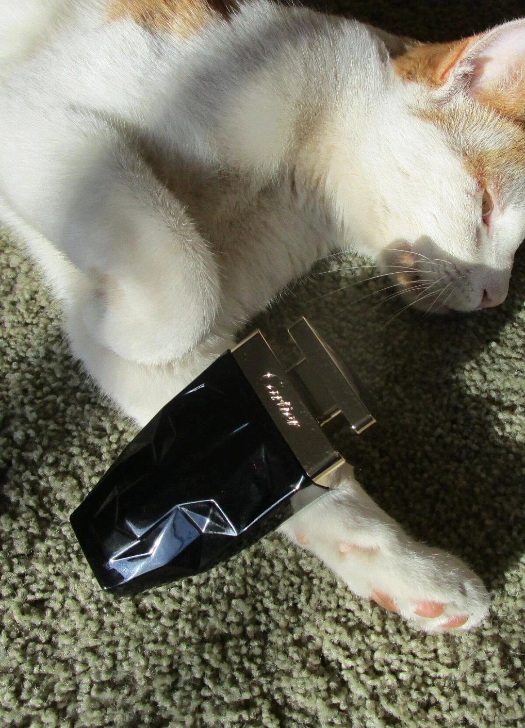 Cartier La Panthere Etincelante