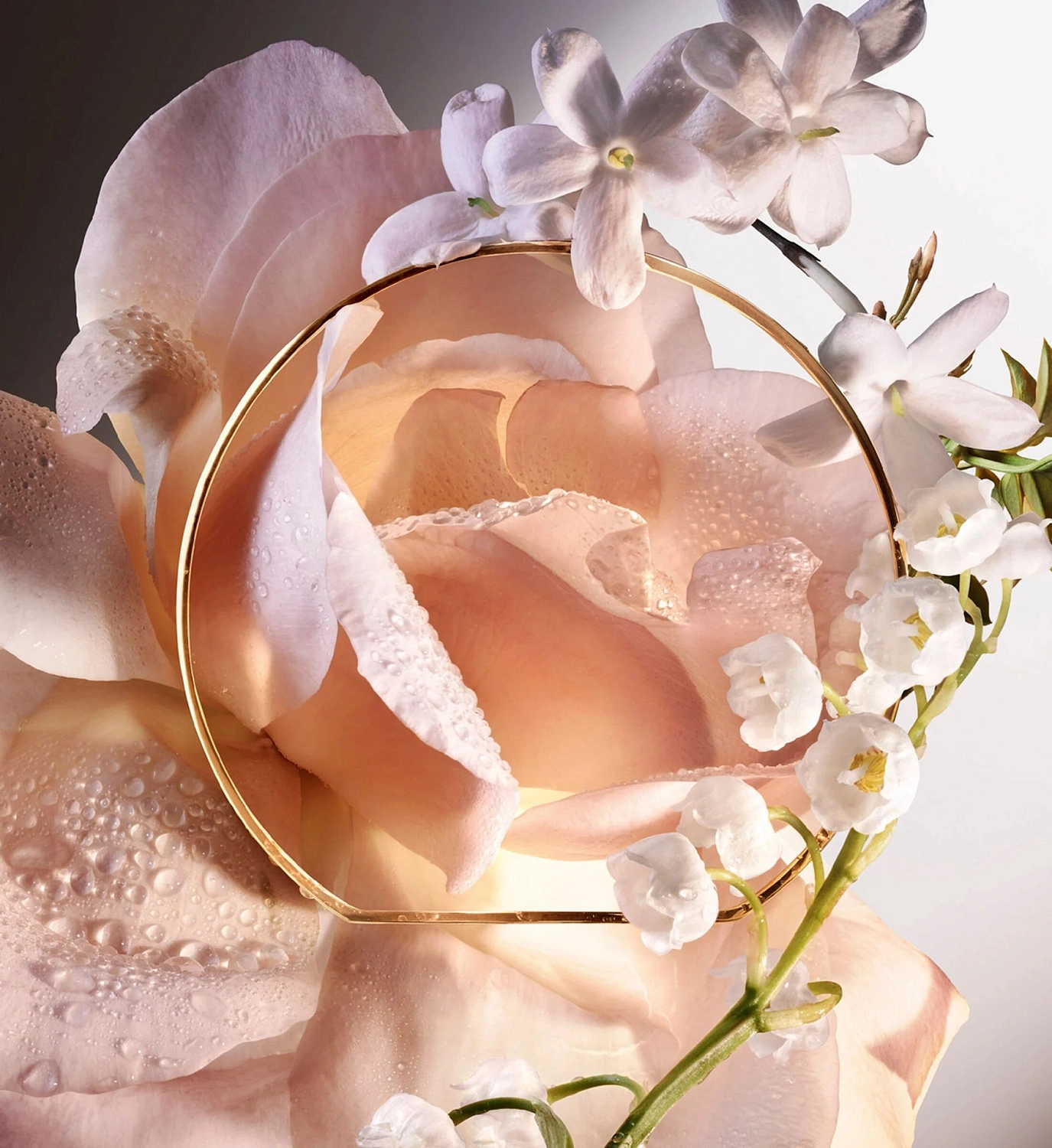 Lancome Absolue 6AM Rose